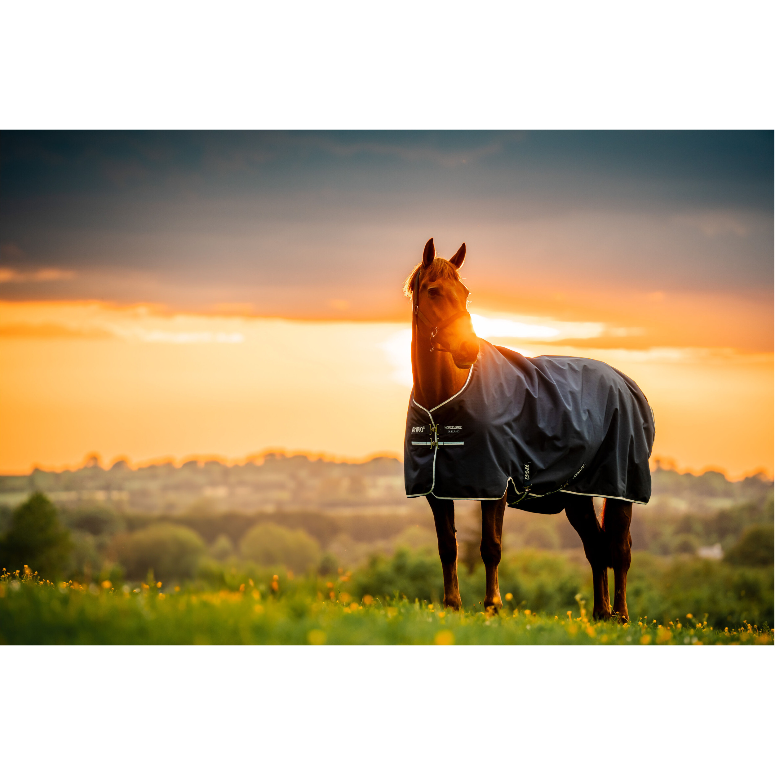 Outdoordecke 100g Füllung 900D AMIGO Ripstop Turnout witney stripes/navy