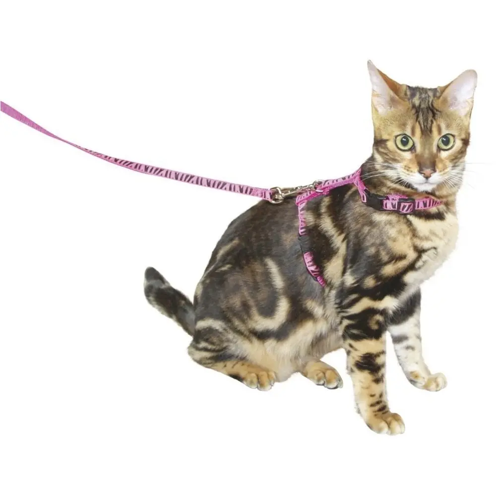 Katzengeschirr mit Leine pink 10x1200mm 