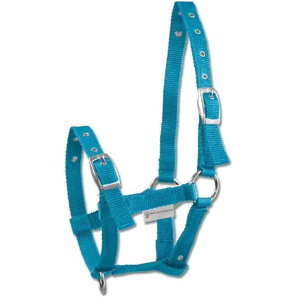 Fohlenhalfter TRIPLE azurblau
