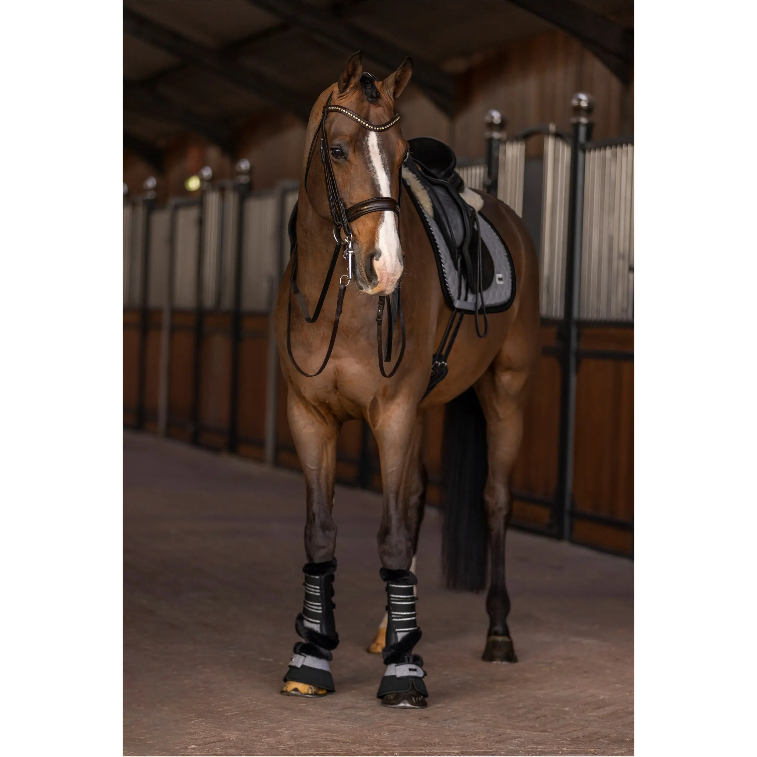 Springglocken HVPFrancis grau Springglocken HVPFrancis grau