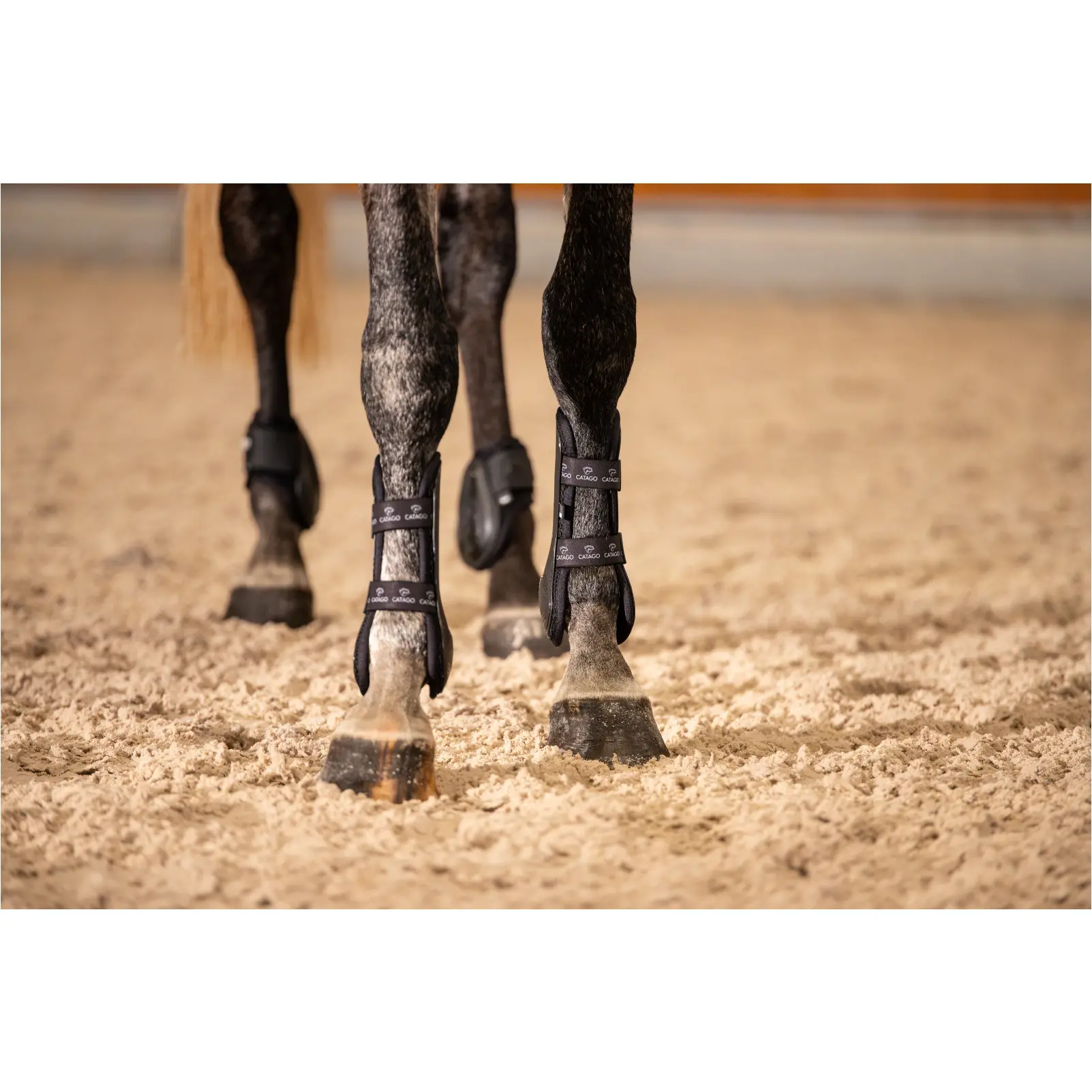 Springgamaschen FIR-Tech PERFORMANCE JP schwarz Springgamaschen FIR-Tech PERFORMANCE JP schwarz