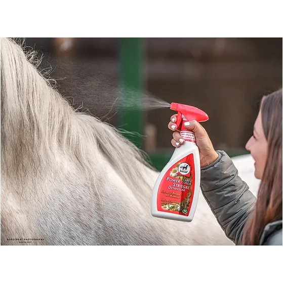 POWER STRIEGEL Kamille 550ml