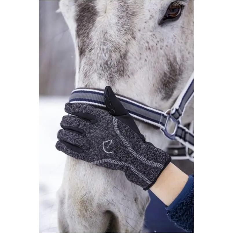 Winter Reithandschuhe CHAUD grau meliert