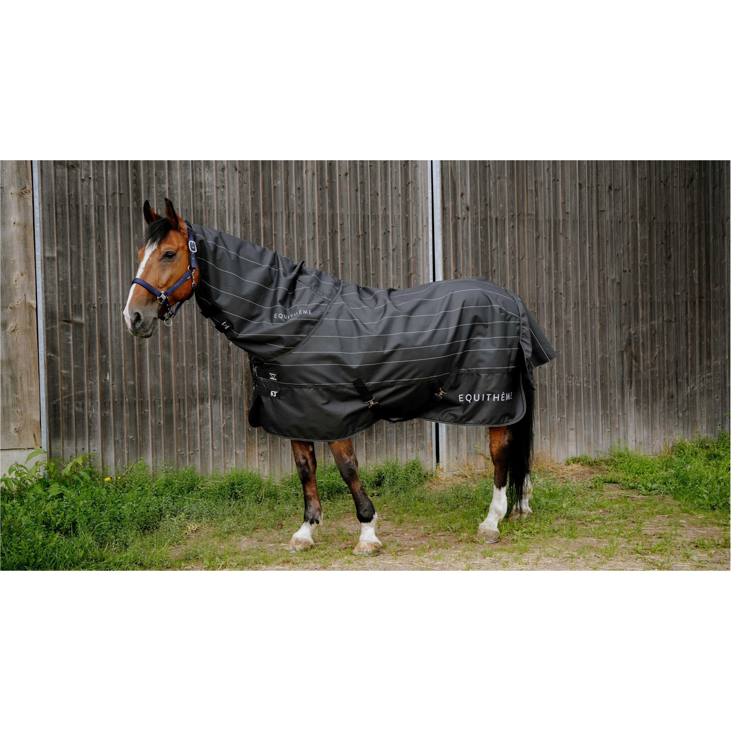 Regendecke reflektierend 600D TYREX Lumin EquiTheme schwarz