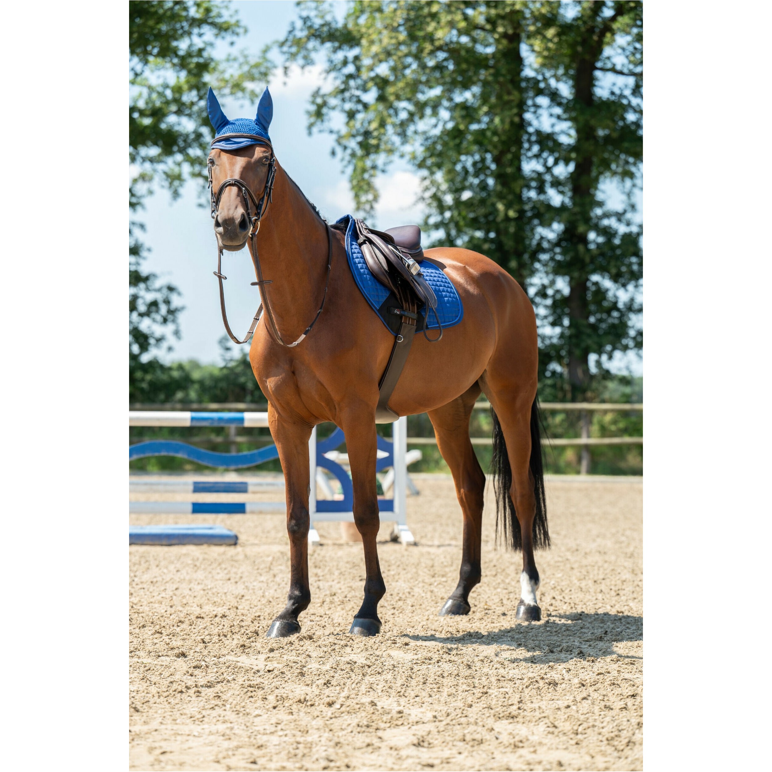 Schabracke ESSENTIALS royal blau
