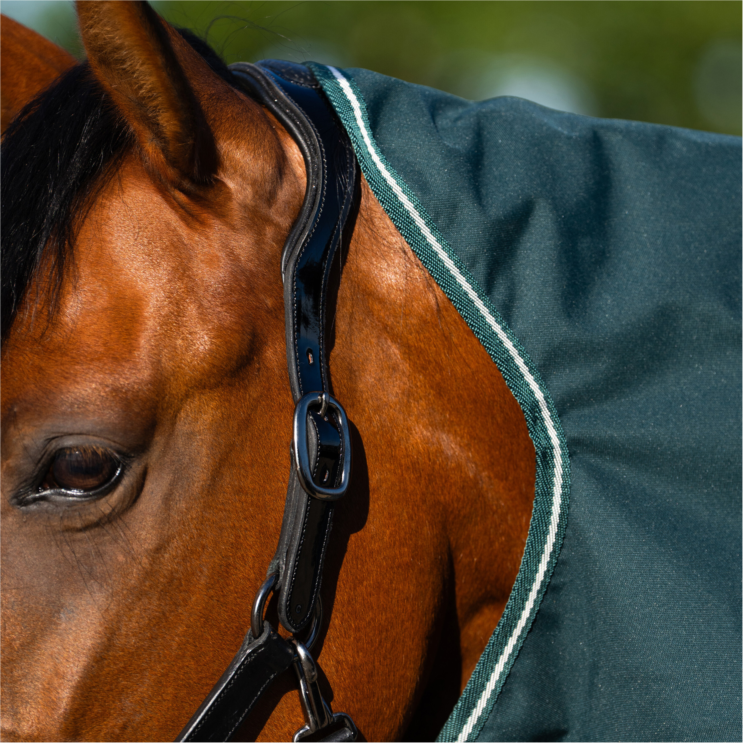 Outdoordecke mit Halsteil (abnehmbar) Polarfleecefutter IRHBasic green