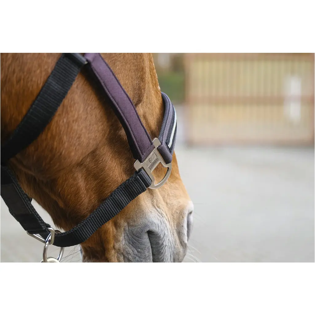 Nylonhalfter mit Strass DOMINO violett