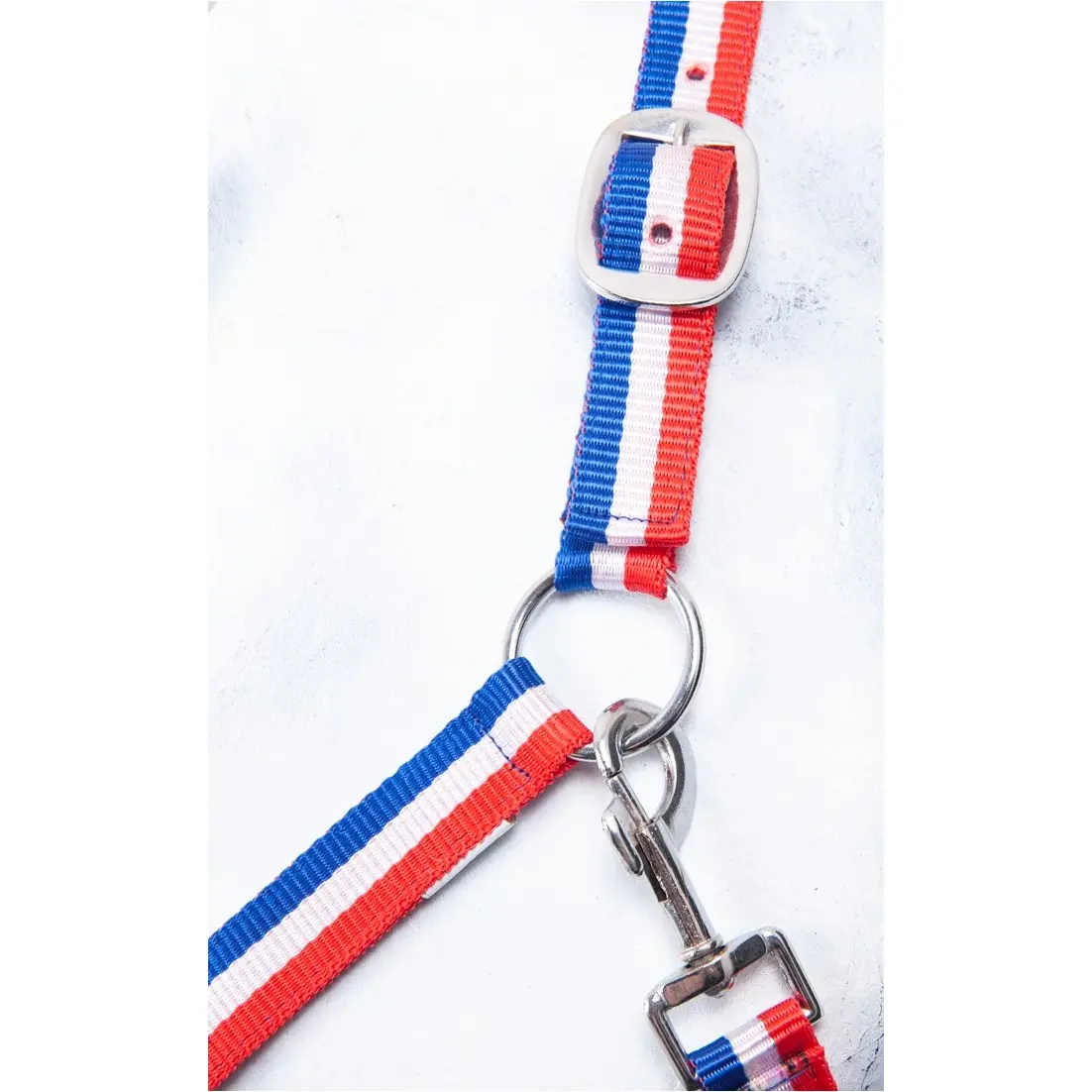 Halfter BUDAPEST rot/weiß/blau Halfter BUDAPEST rot/weiß/blau