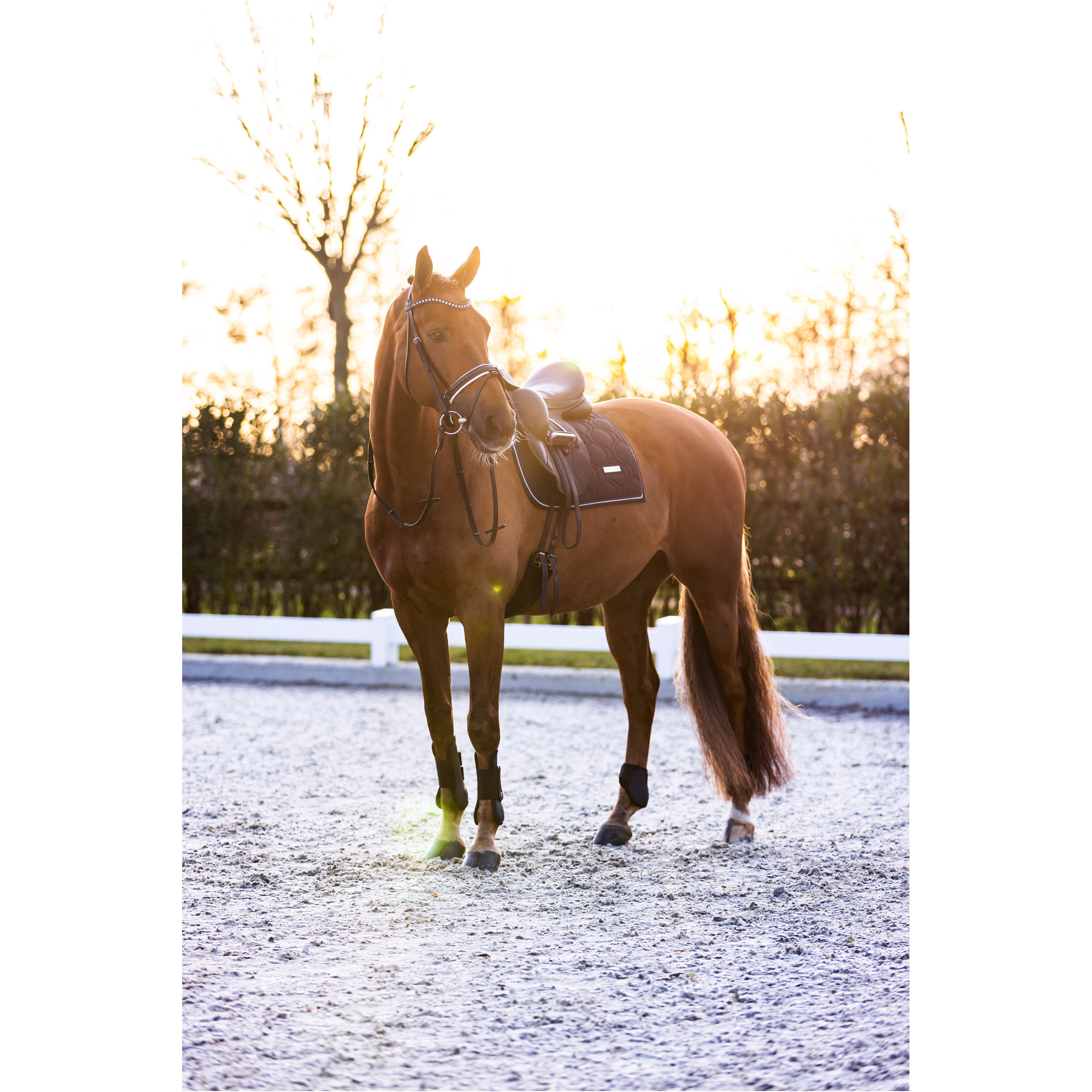 Gamaschen IRHLovely navy