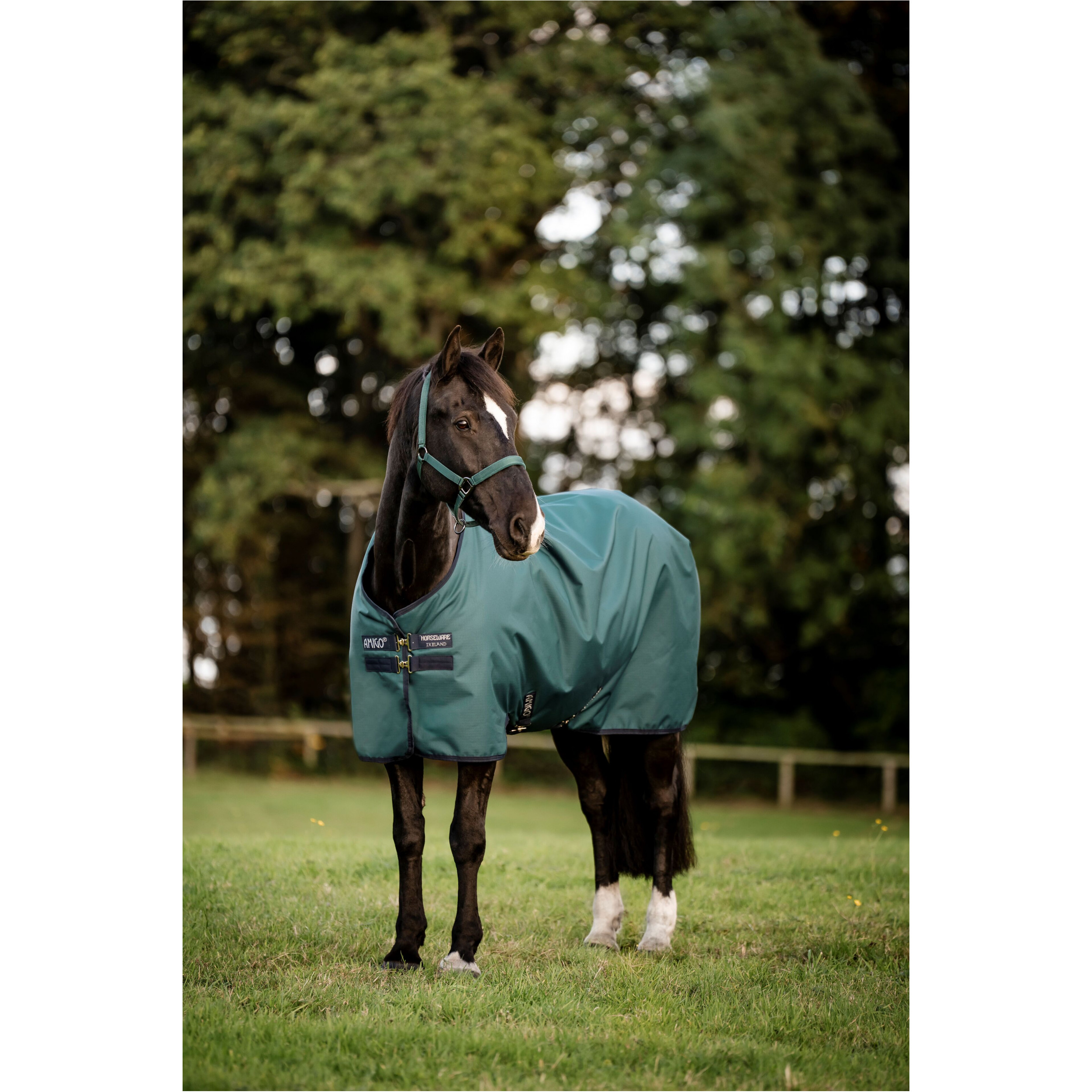 Outdoordecke 50g Füllung 900D mit Fleecefutter AMIGO Ripstop Turnout dynasty green/navy/silver