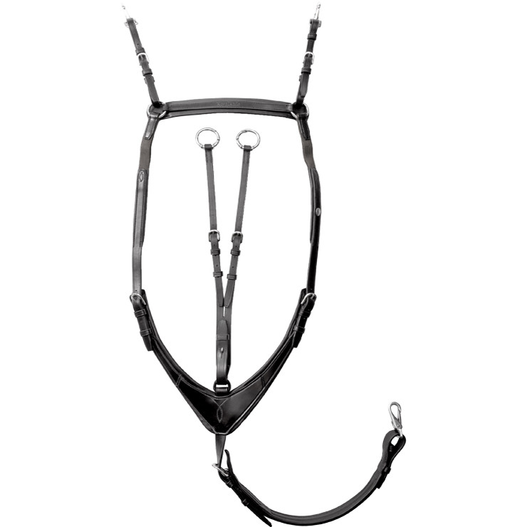 Vorderzeug mit Elast ROBIN schwarz/silber