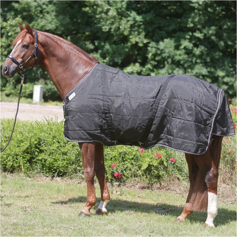 Hengstdecke mit Brustlatz 200g Füllung 1200D STALLION schwarz Hengstdecke mit Brustlatz 200g Füllung 1200D STALLION schwarz