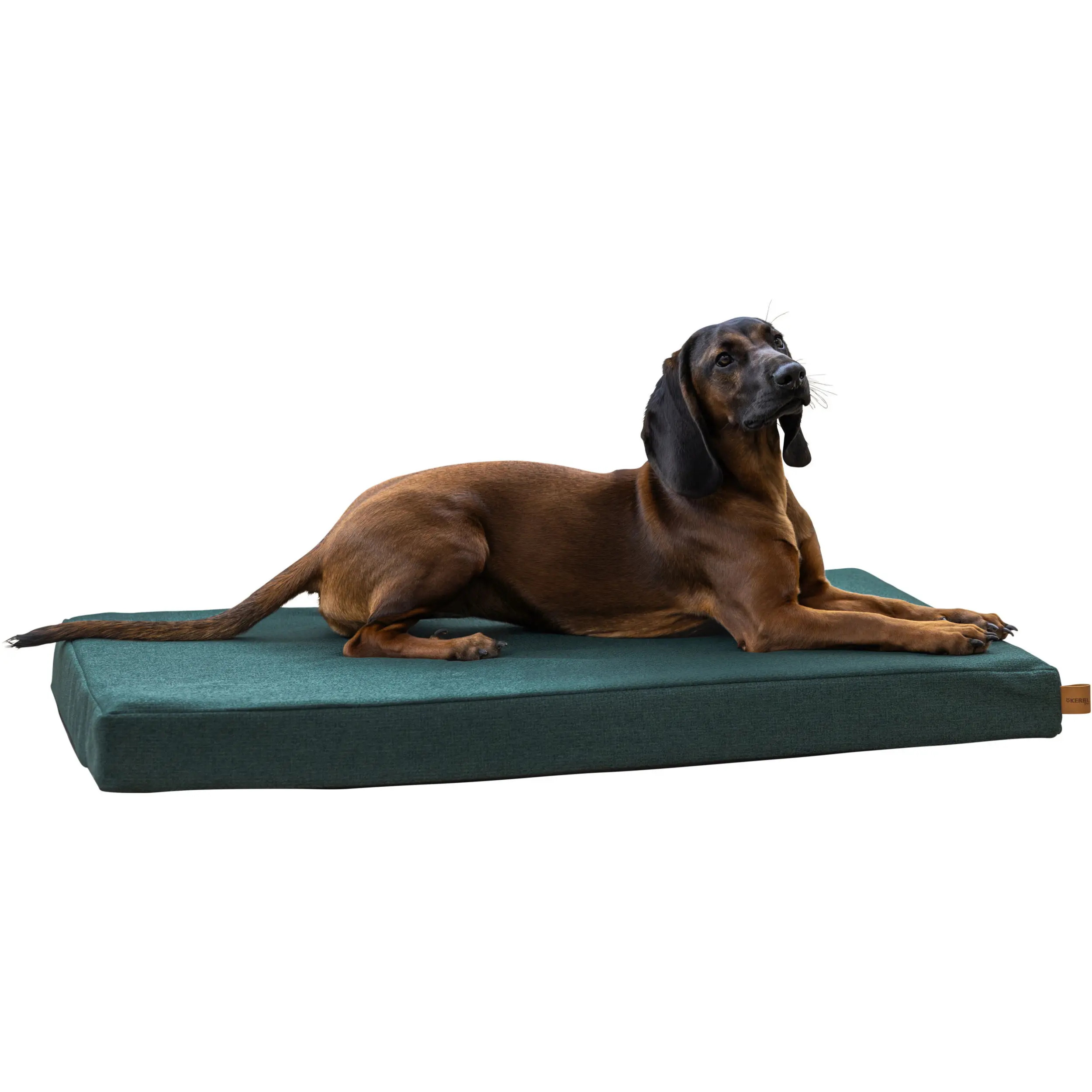 Matratze OLIVER mit Memory Foam english green
