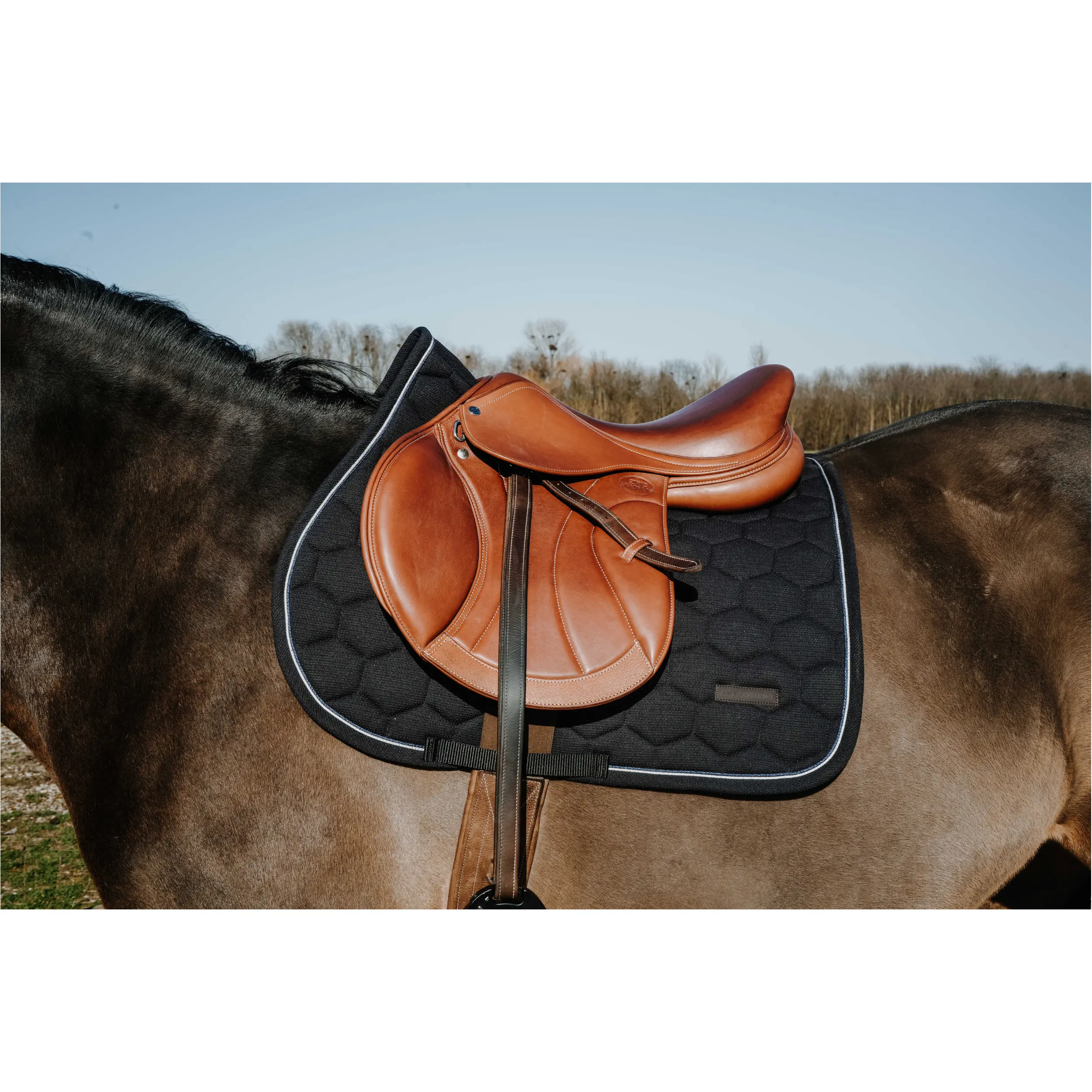 Schabracke HONEY schwarz Warmblut Vielseitigkeit