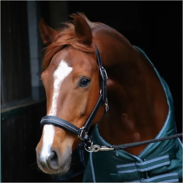 Halfter DIAMOND Leder schwarz