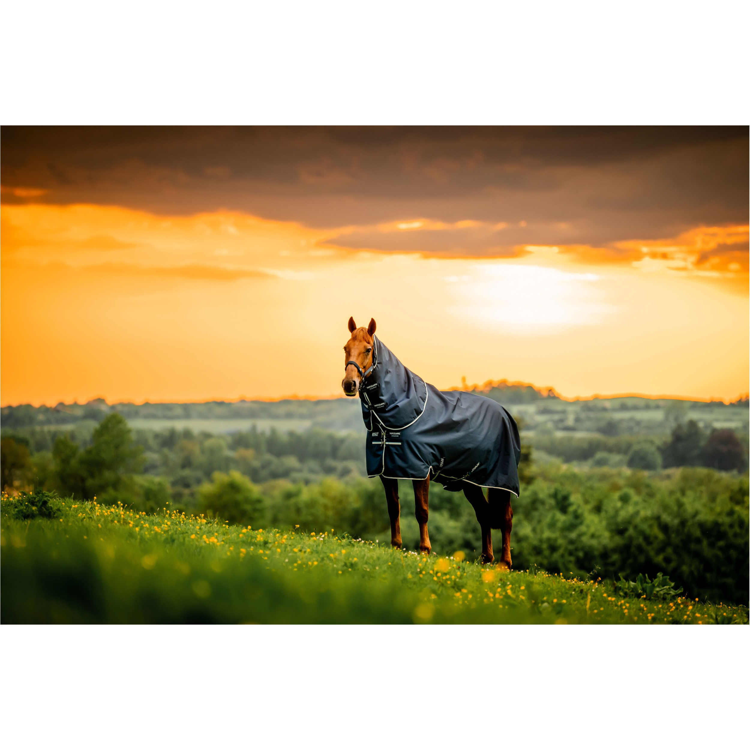 Outdoordecke Halsteil (abnehmbar) 100g Füllung 900D AMIGO Ripstop Plus Turnout witney navy Outdoordecke Halsteil (abnehmbar) 100g Füllung 900D AMIGO Ripstop Plus Turnout witney navy