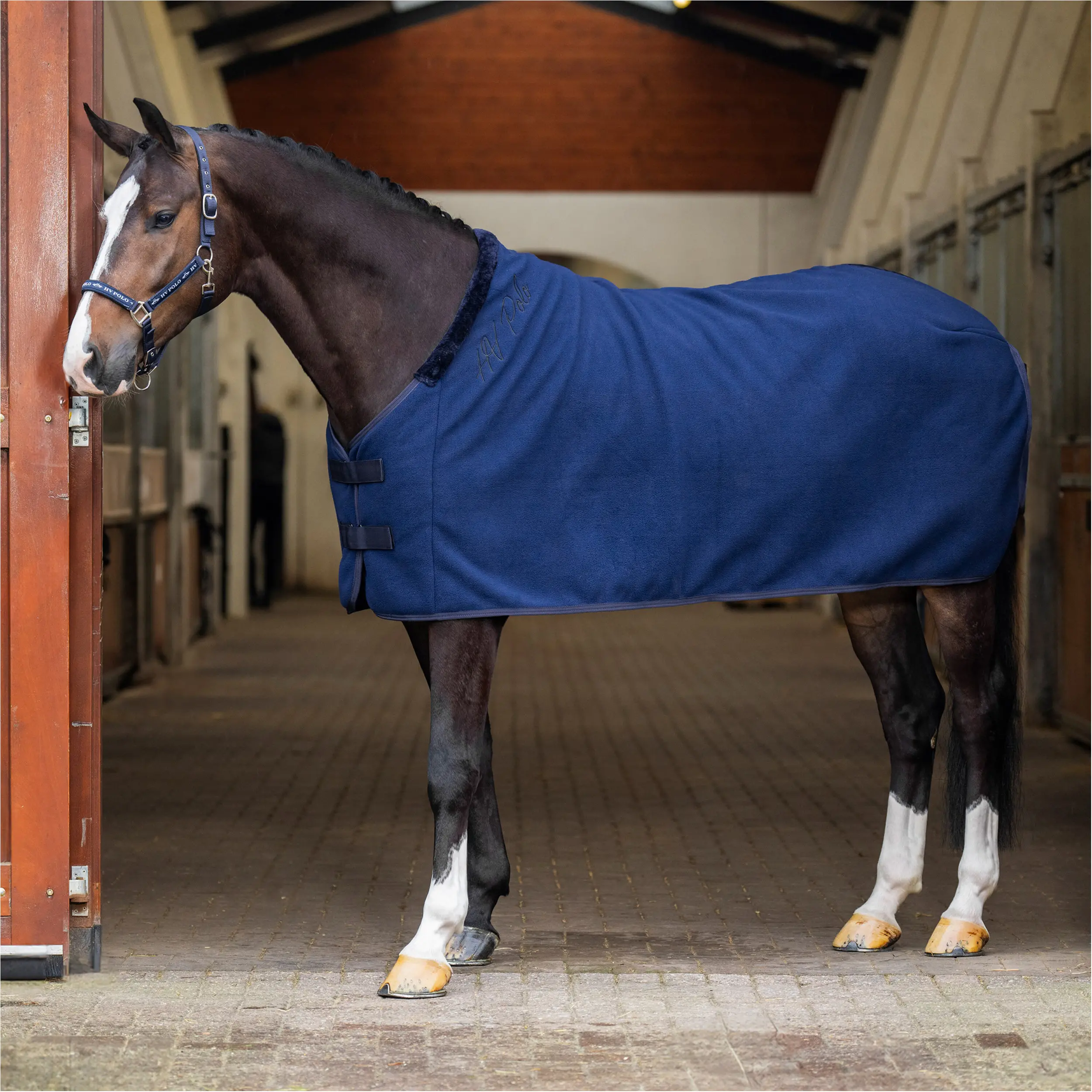 Abschwitzdecke HVPNena navy
