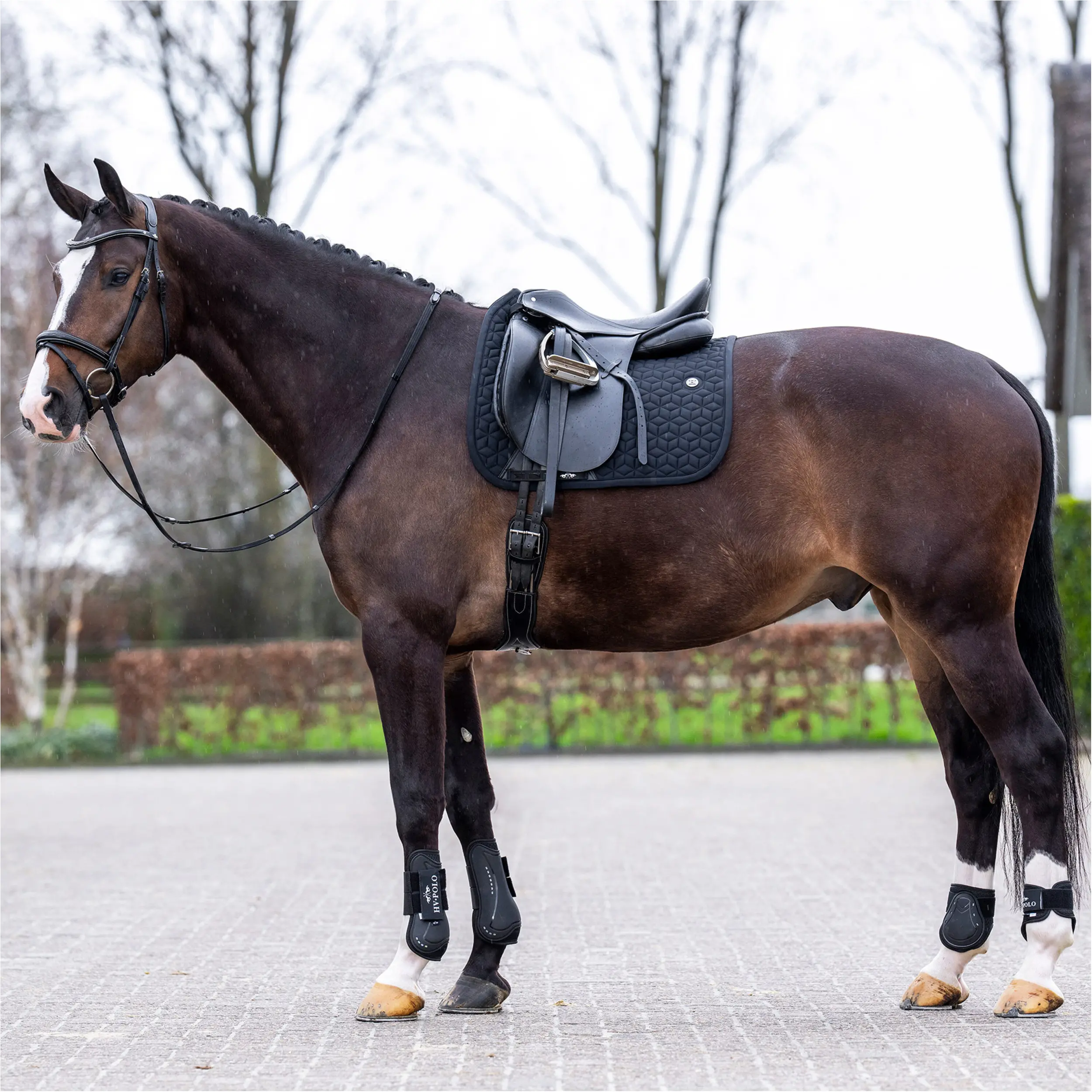 Schabracke HVPEssential schwarz Warmblut Dressur