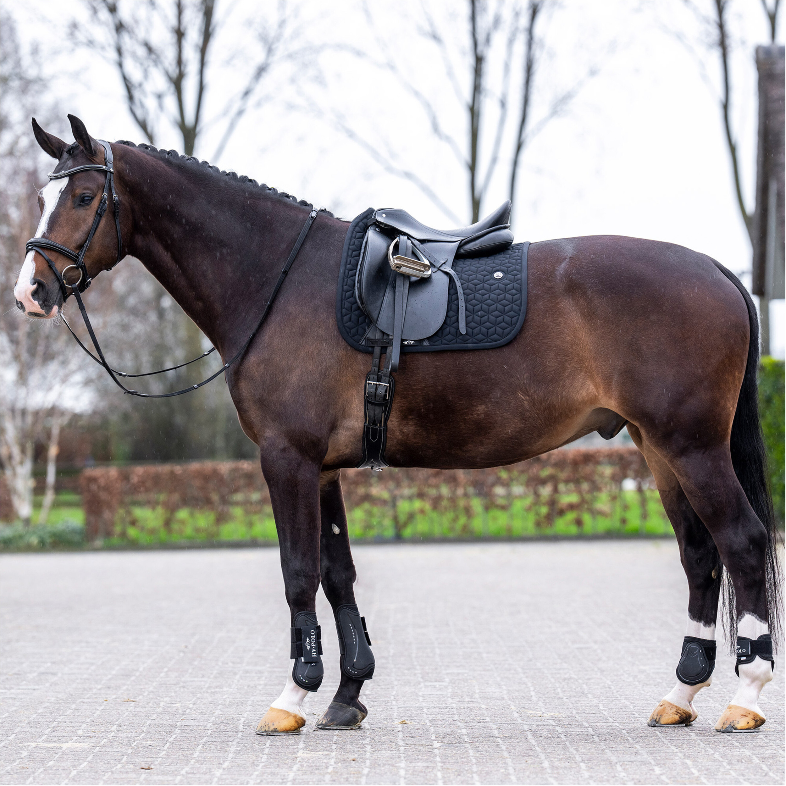 Schabracke HVPEssential schwarz Warmblut Dressur Schabracke HVPEssential schwarz Warmblut Dressur