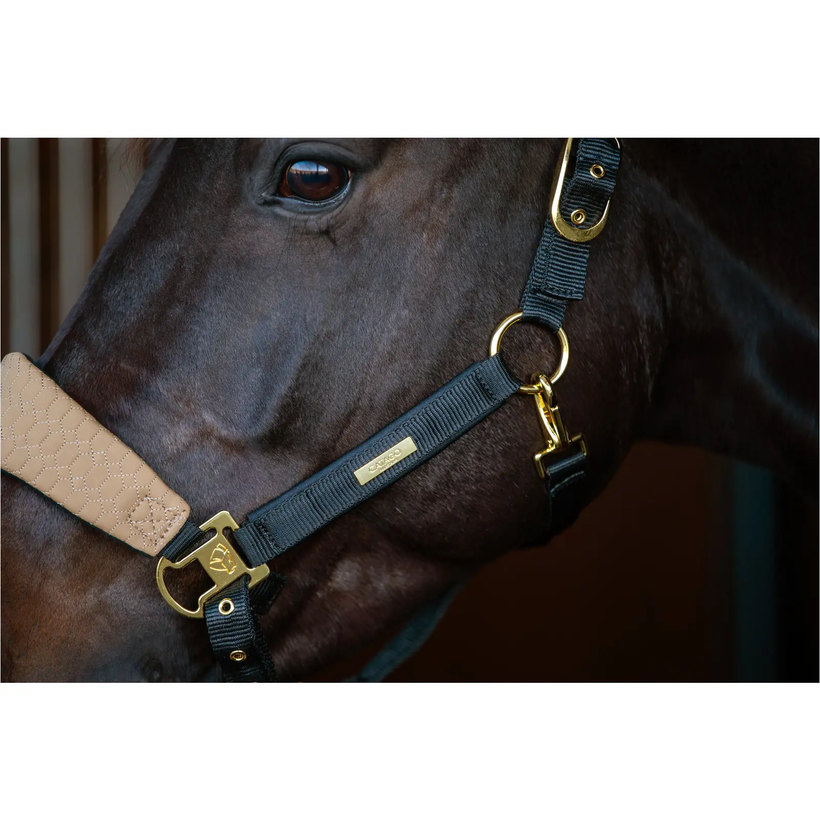 Halfter FIR-Tech GRAND kangaroo