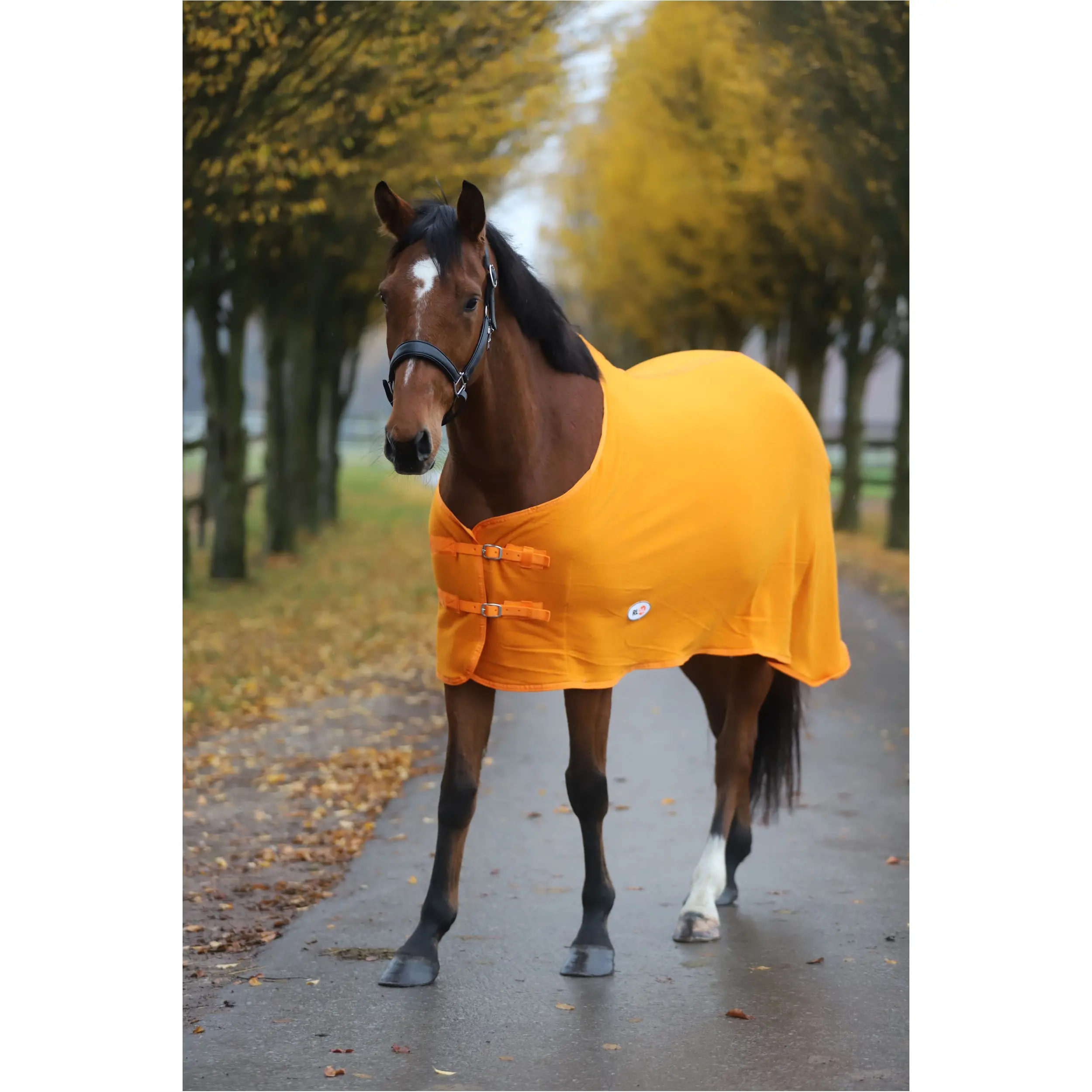 Abschwitzdecke BASICLINE rost