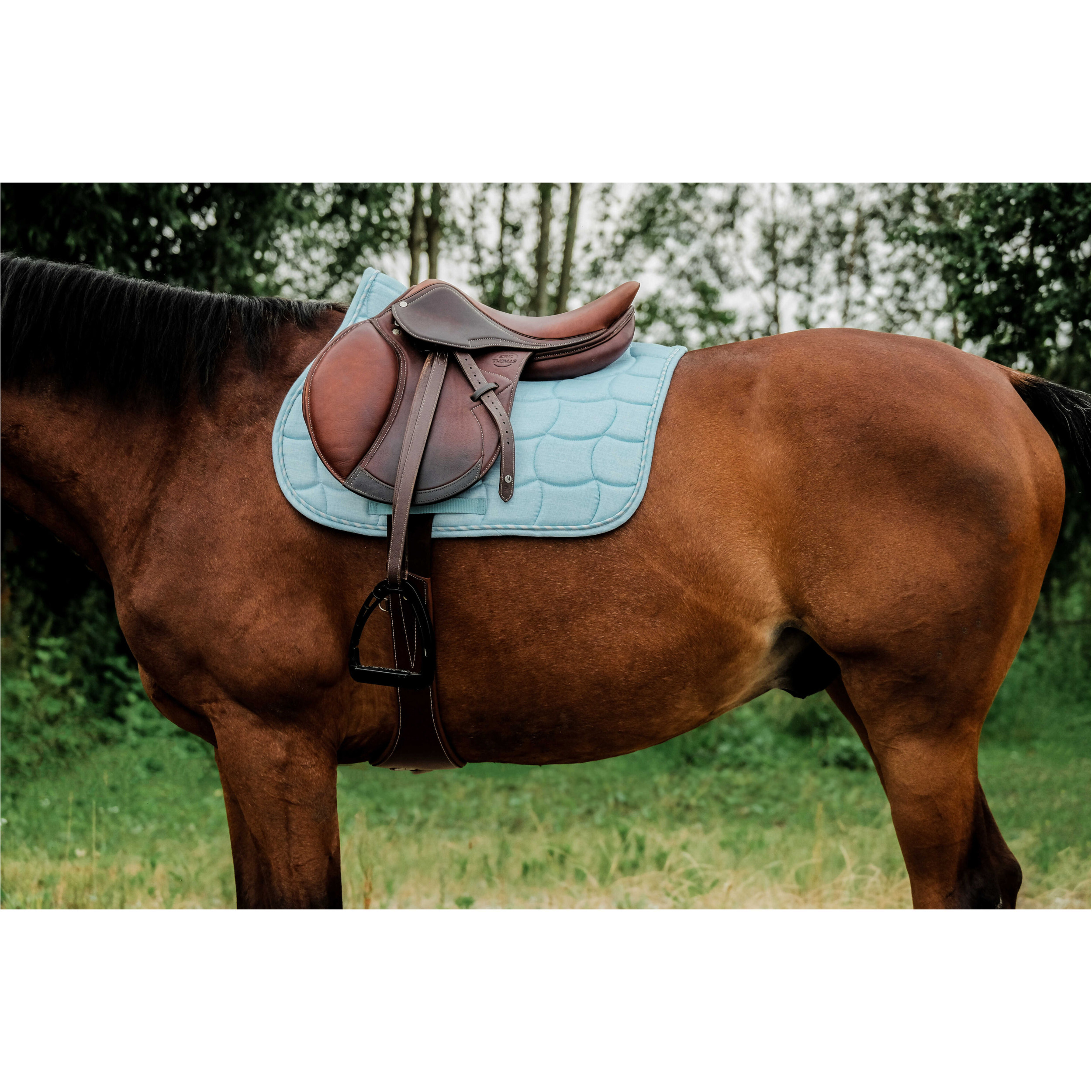 Schabracke SUNSHINE himmelblau Warmblut Vielseitigkeit Schabracke SUNSHINE himmelblau Warmblut Vielseitigkeit