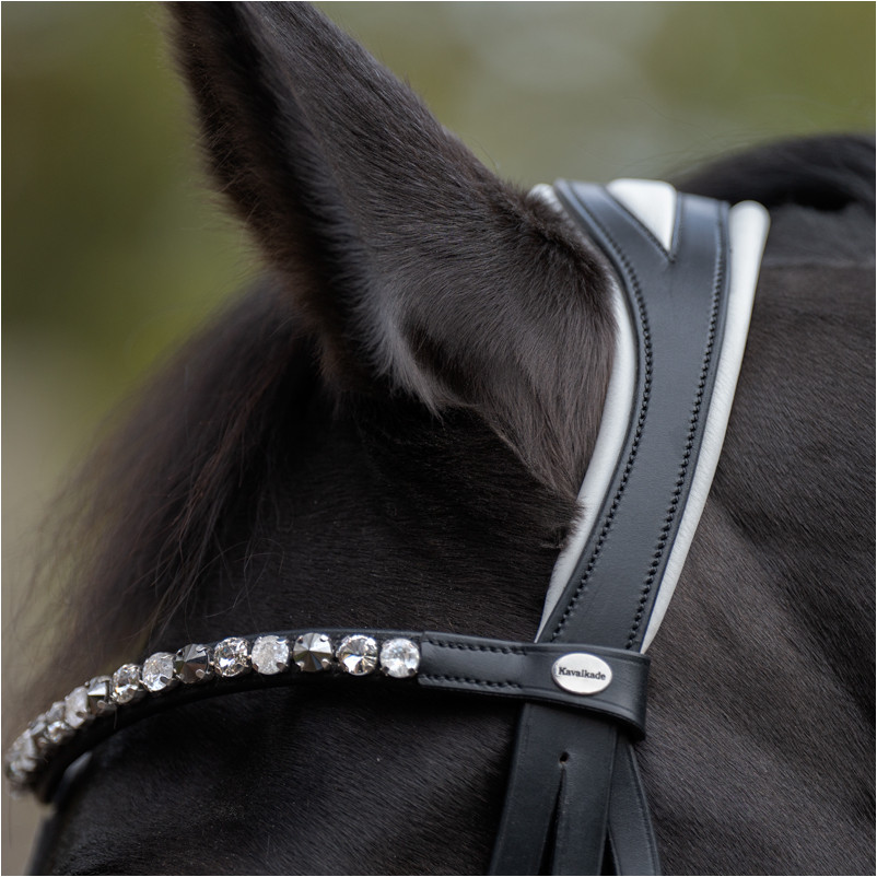 Trensenzaum schwedisch kombiniert ZORA schwarz lack/weiß Trensenzaum schwedisch kombiniert ZORA schwarz lack/weiß