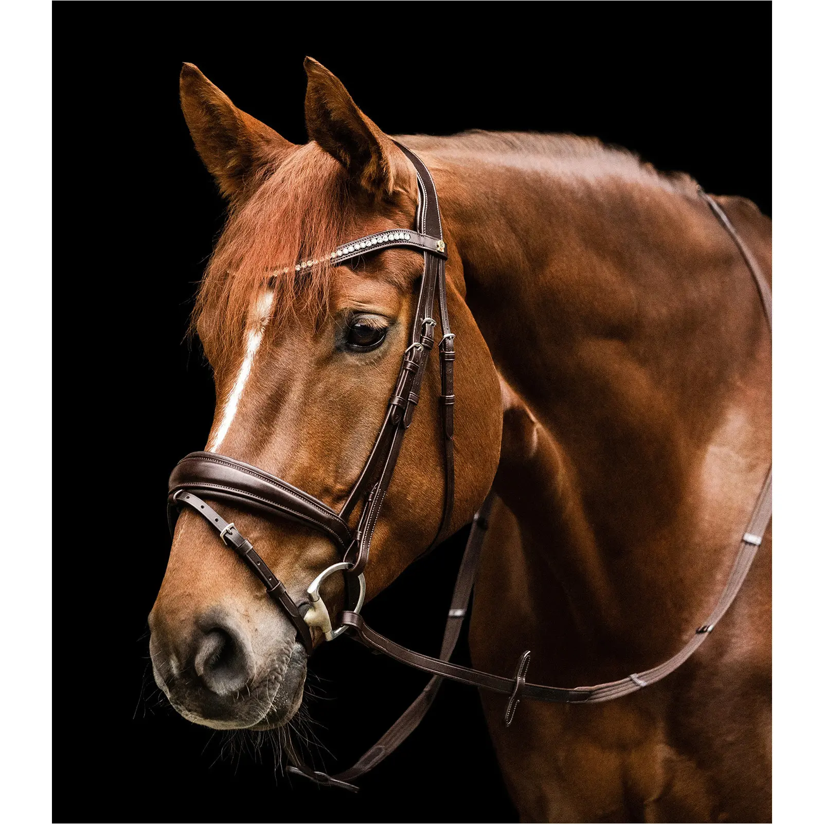 Trensenzaum S-Line ESSENTIAL braun