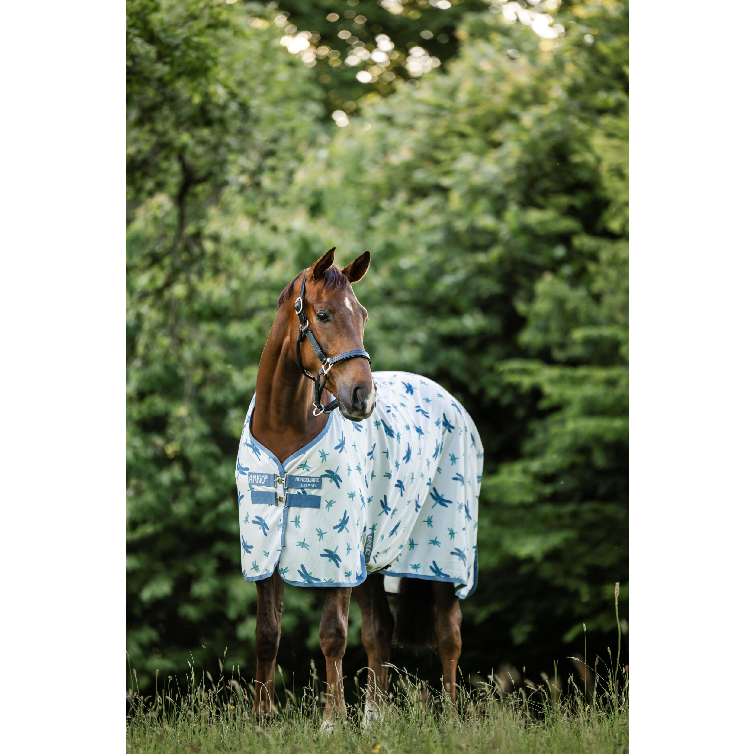 Fliegendecke AMIGO Bug Rug dragonfly print/silver/blue/sage