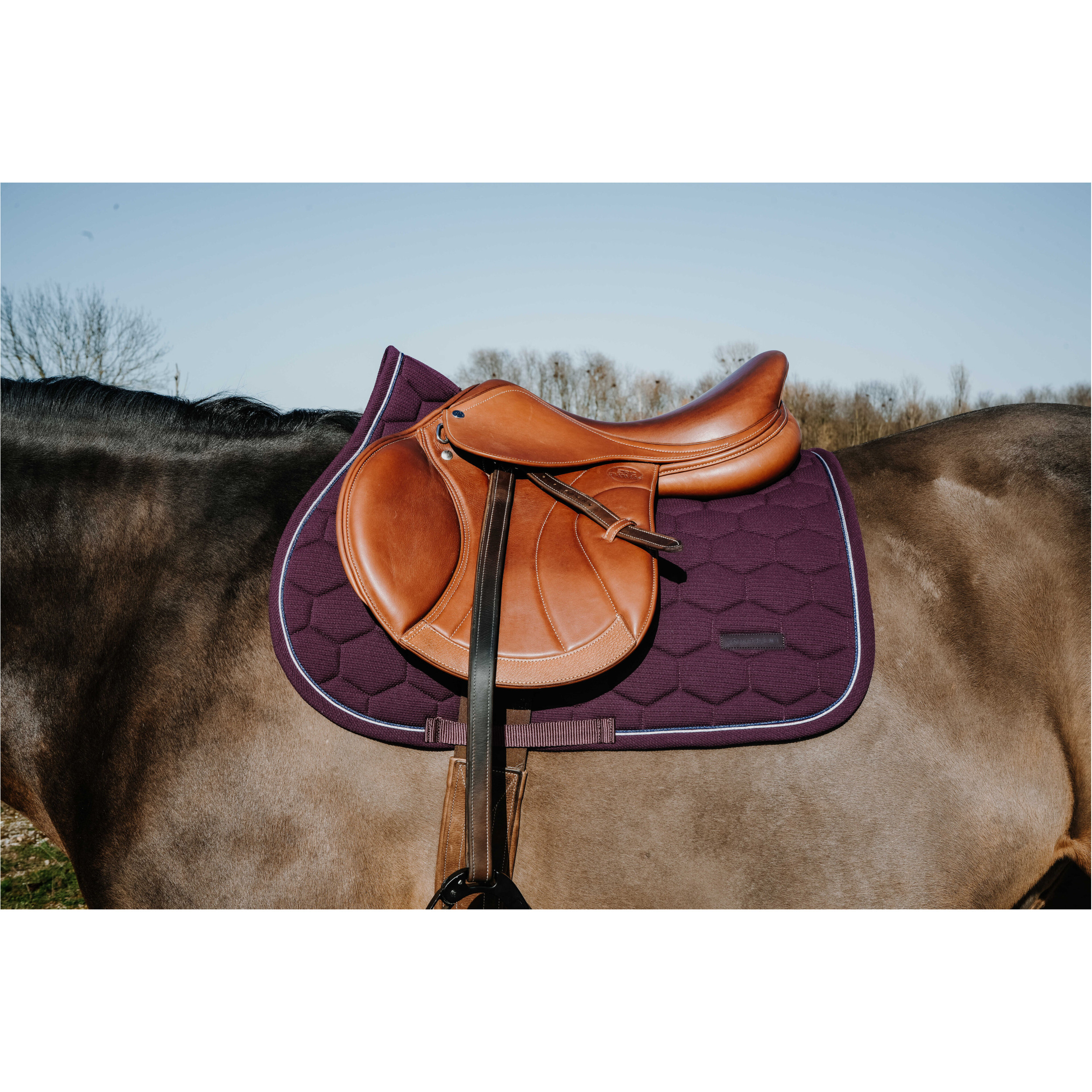 Schabracke HONEY burgunder Warmblut Vielseitigkeit