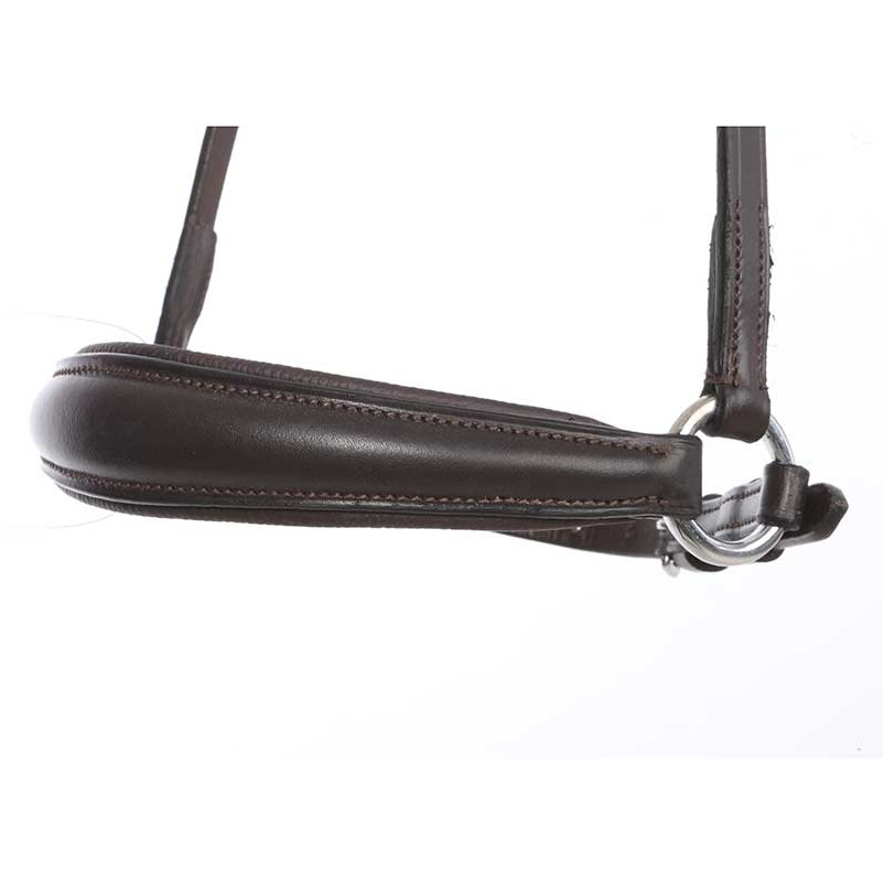 Reithalfter hannoveranisch braun Reithalfter hannoveranisch braun