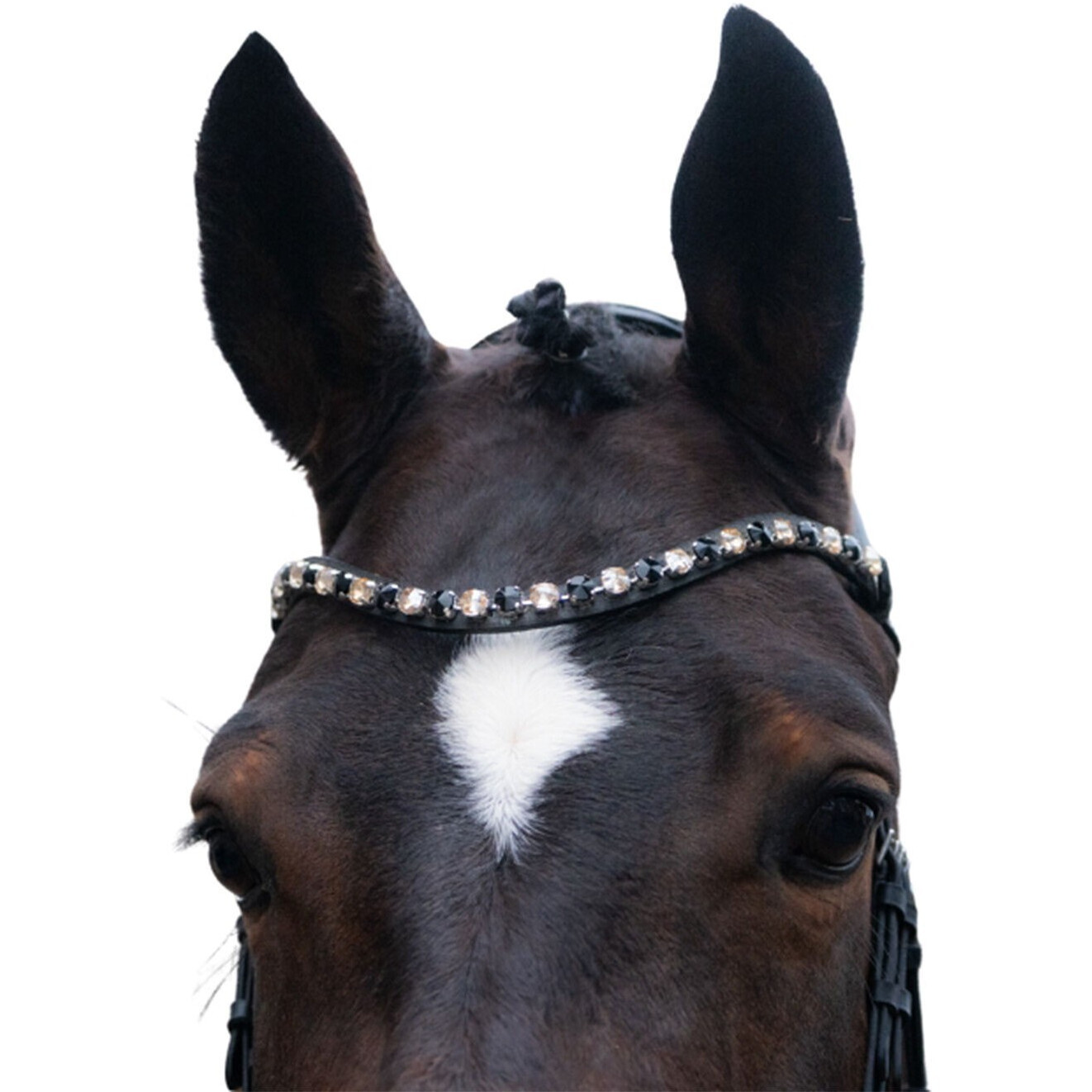 Trensenzaum anatomisch mit schwedischem Reithalfter MILA schwarz Trensenzaum anatomisch mit schwedischem Reithalfter MILA schwarz