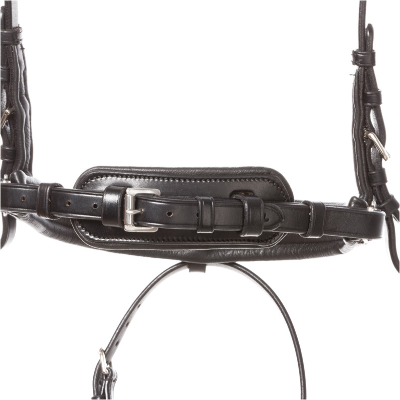 Trensenzaum mit schwedischen Reithalfter AYANA schwarz