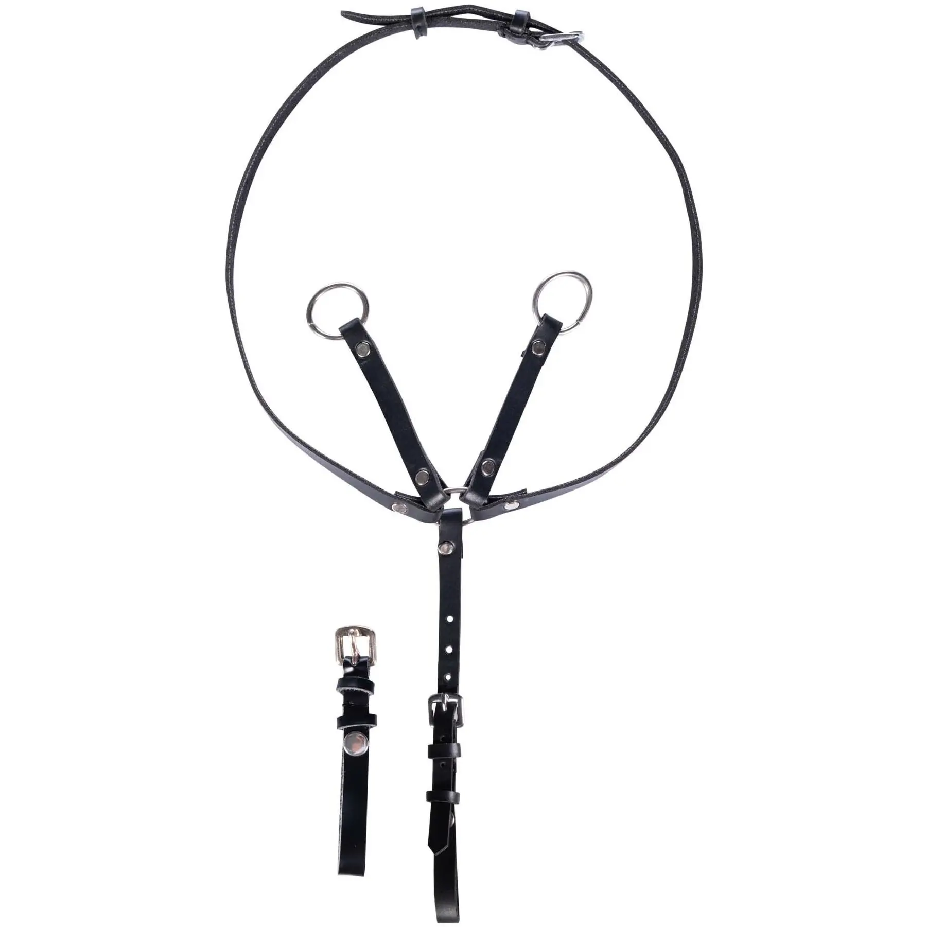 Martingal HOBBY HORSING schwarz