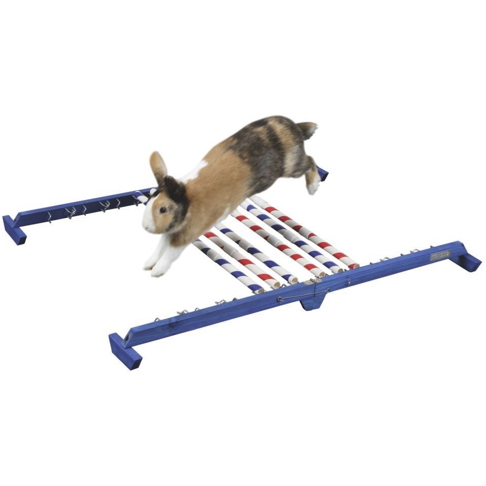 Agility Kombisprung für Nager 