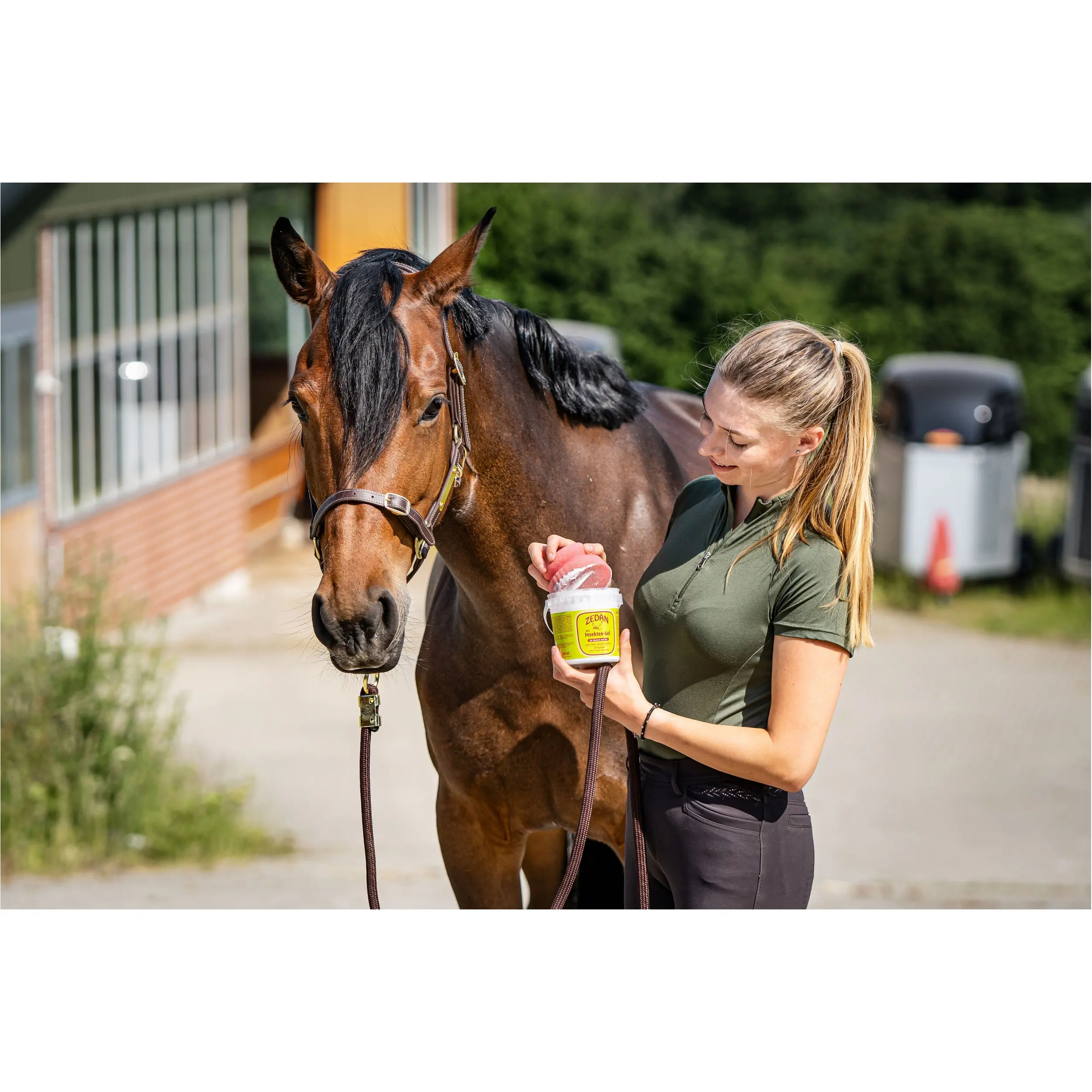 Insekten-Gel mit Schwamm SP 500ml Eimer