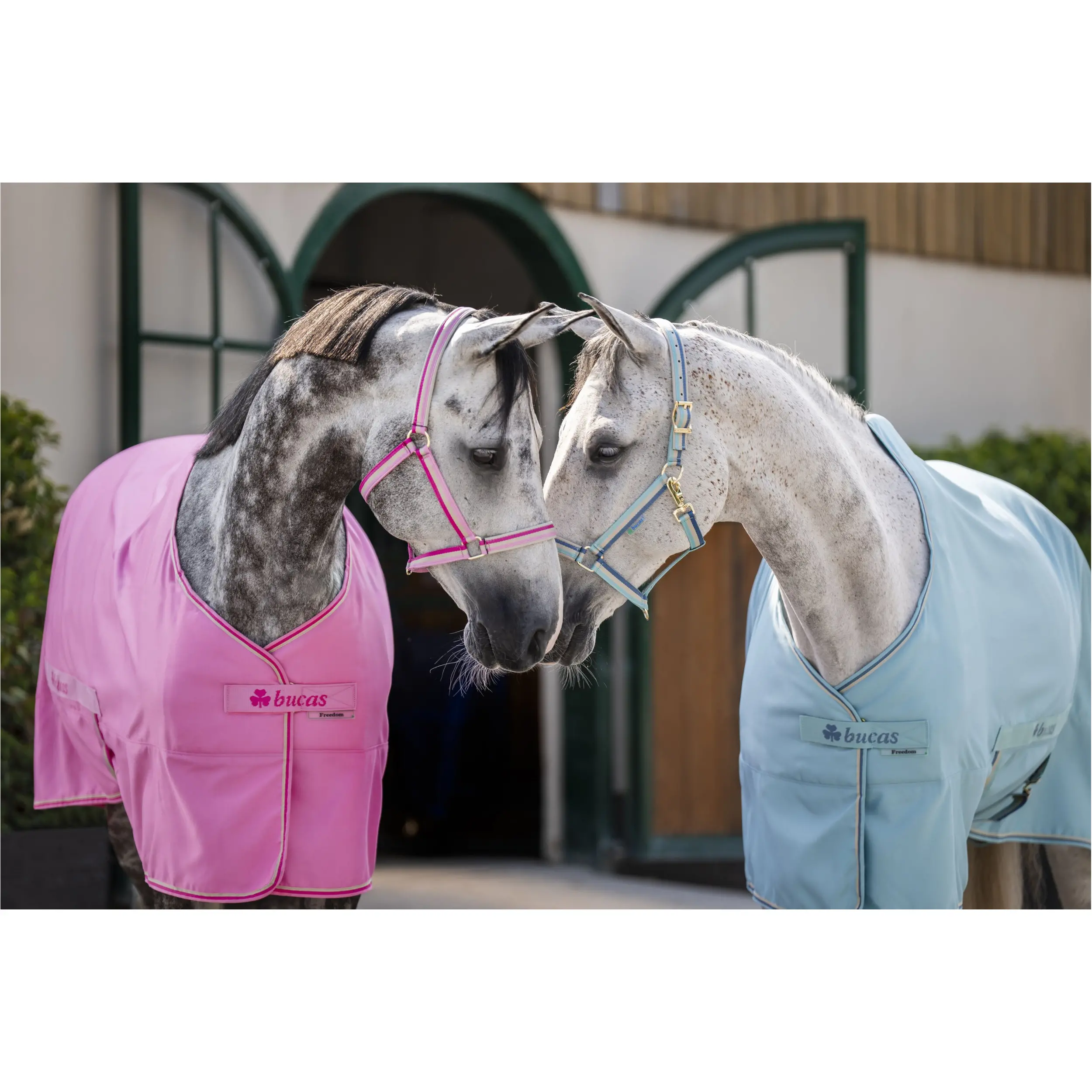 Stall-, Sommer- und Transportdecke FREEDOM TWILL SHEET türkis