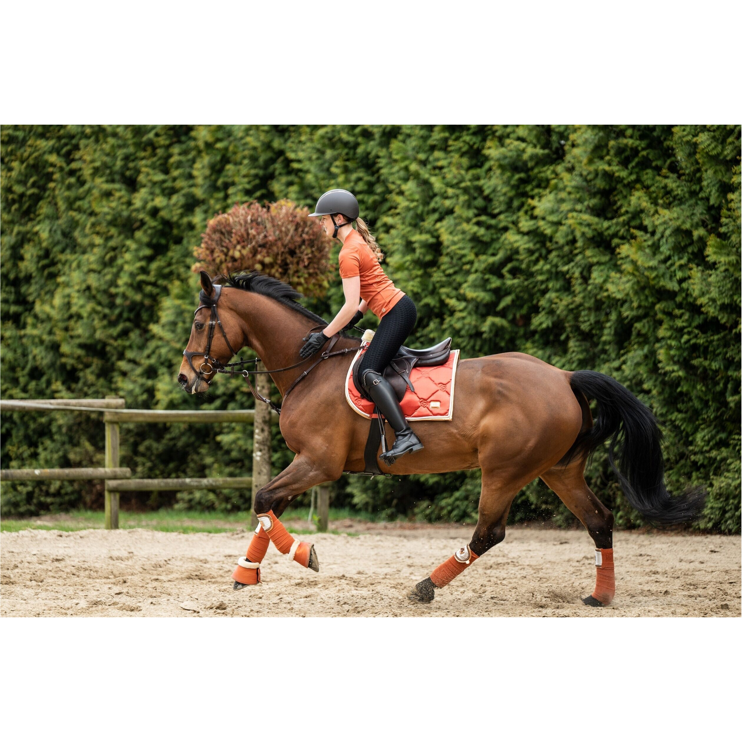 Hufglocken EDINBURGH cognac Hufglocken EDINBURGH cognac