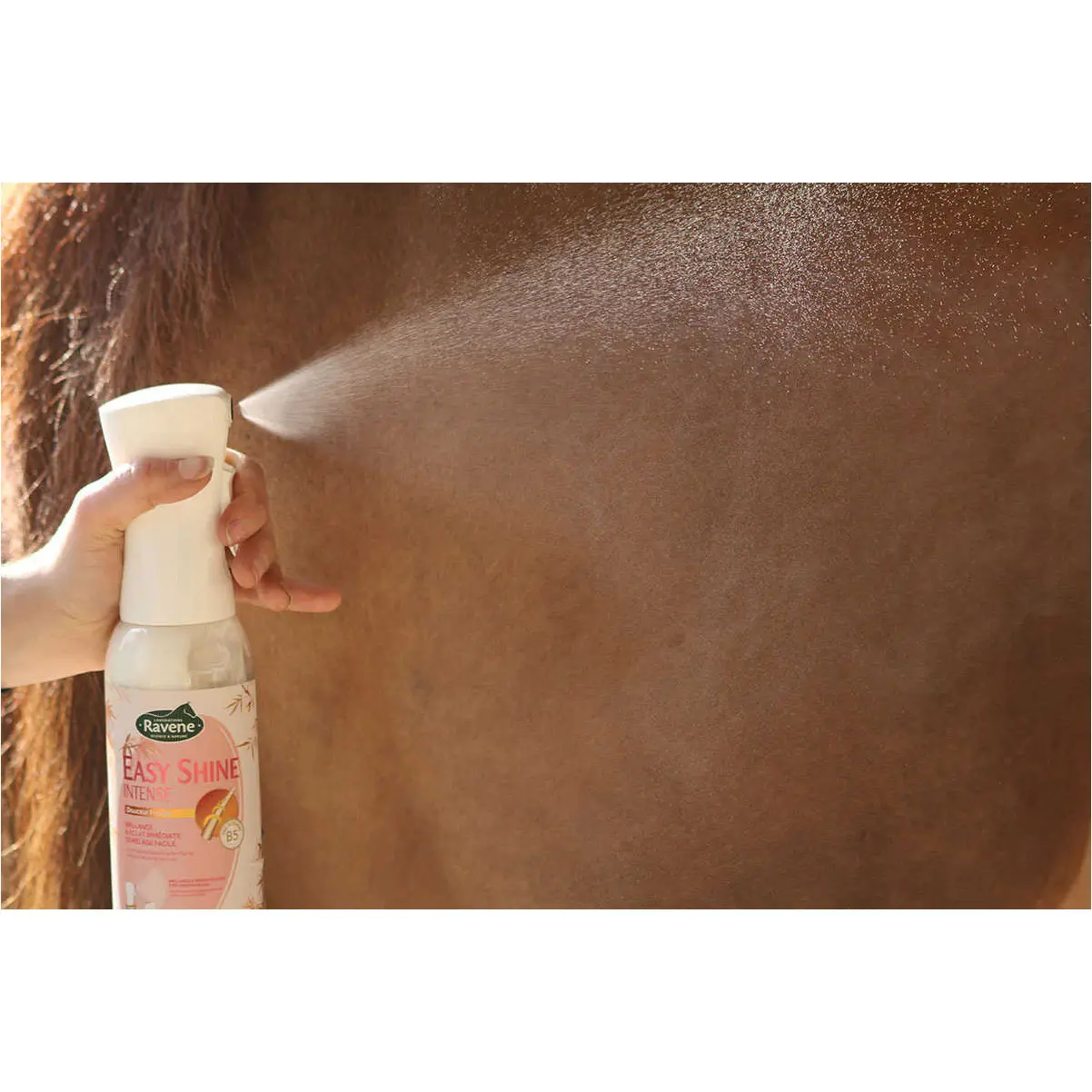 Easy Shine Intensiv 500ml