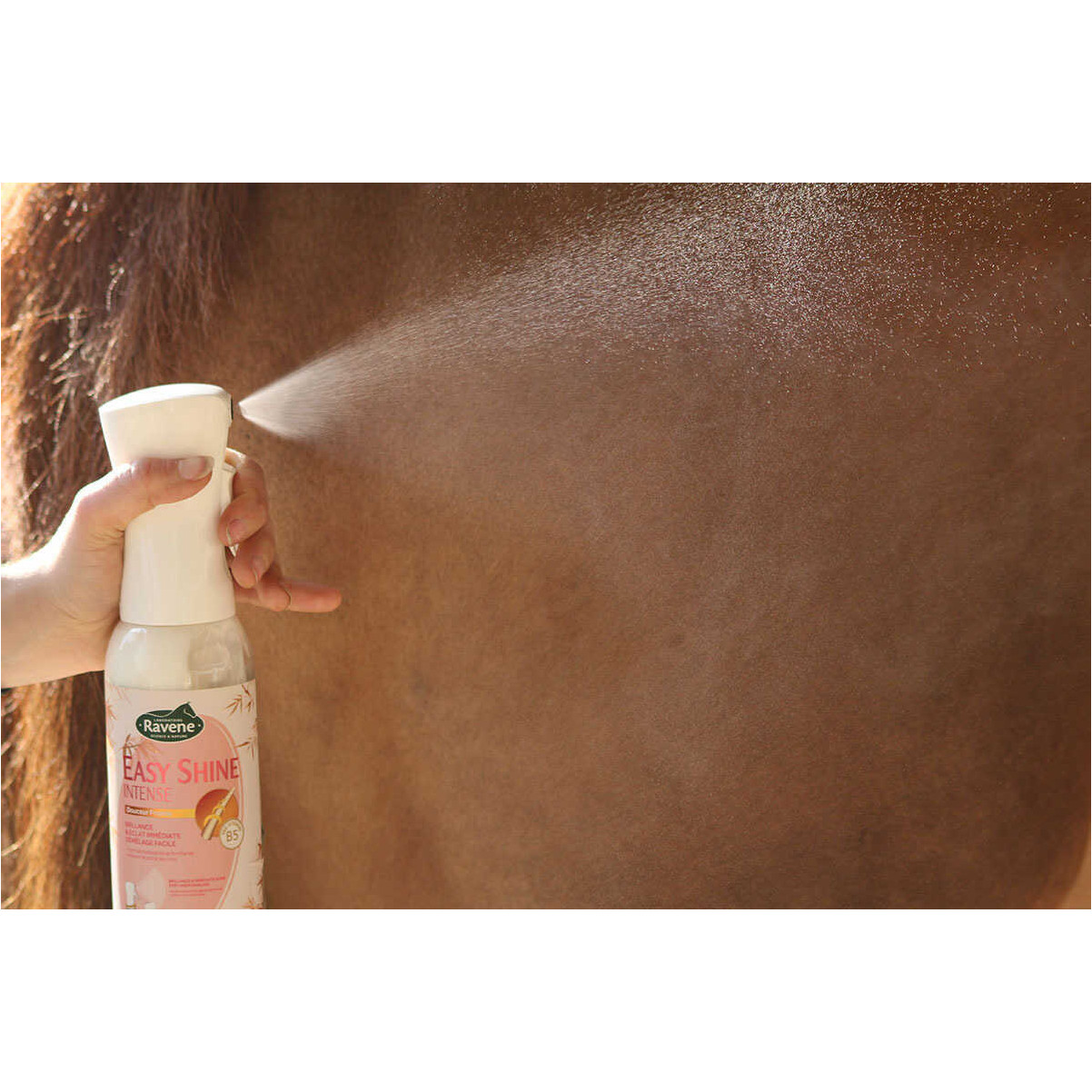 Easy Shine Intensiv 500ml