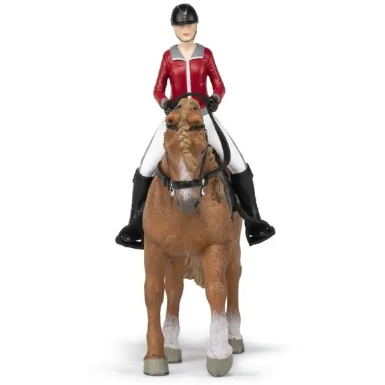 Pferd und Reiterin