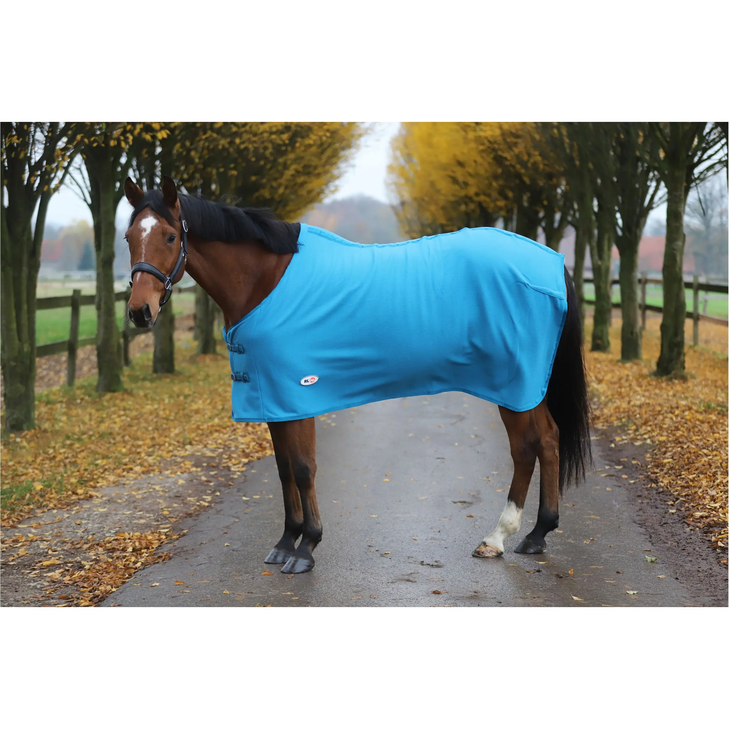 Abschwitzdecke BASICLINE petrol