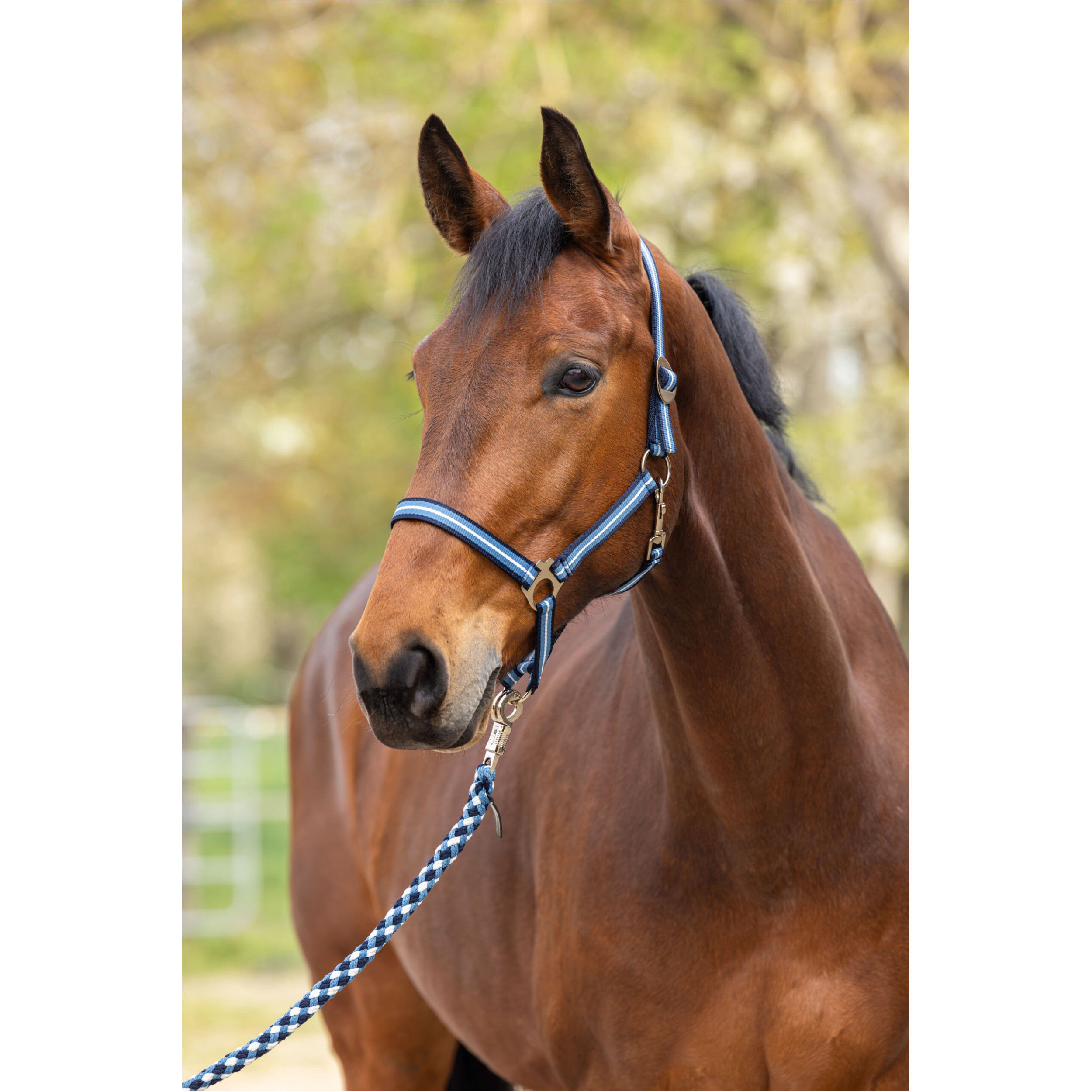 Führstrick mit Karabinerhaken HIPPO F/S 2026 dark navy/smoked blue