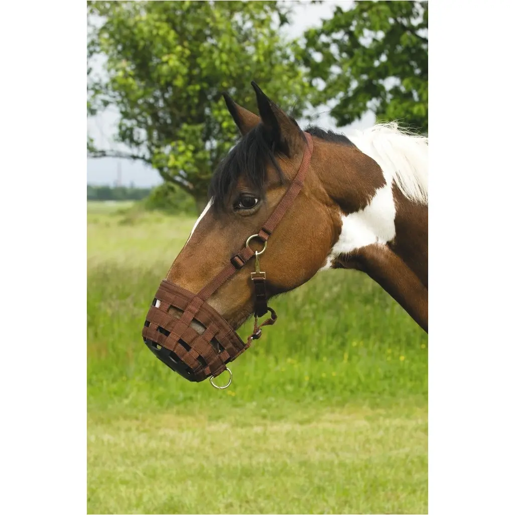 Nylonmaulkorb schoko Nylonmaulkorb schoko