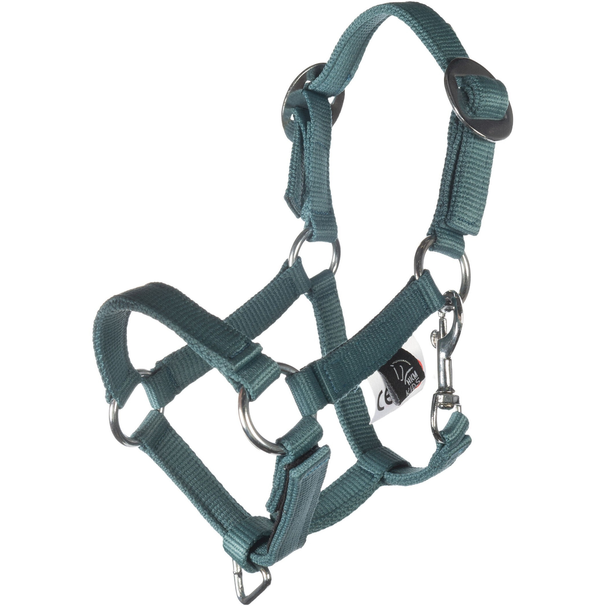 Halfter und Strick HOBBY HORSING BASIC türkis Halfter und Strick HOBBY HORSING BASIC türkis