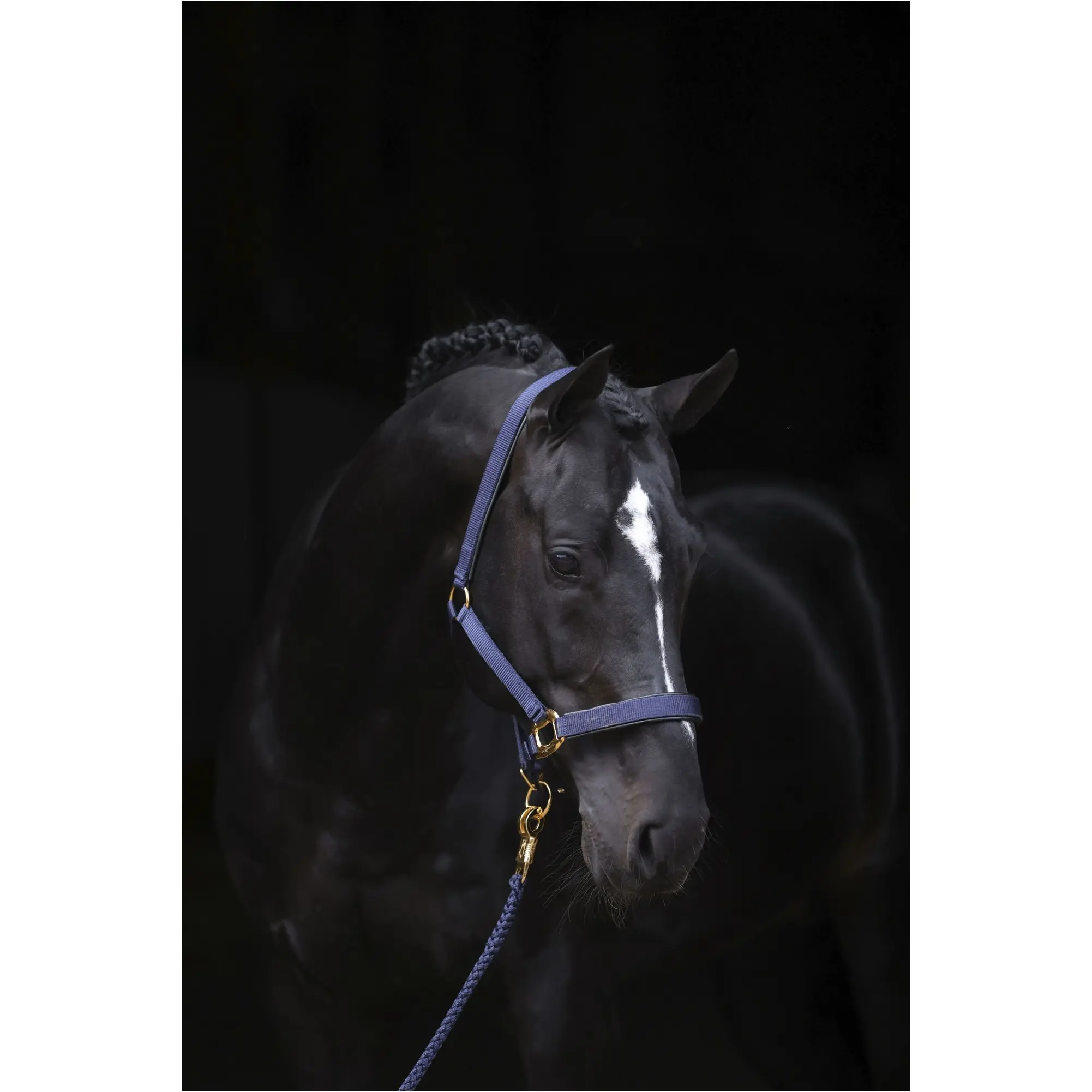 Halfter TOPLINE navy