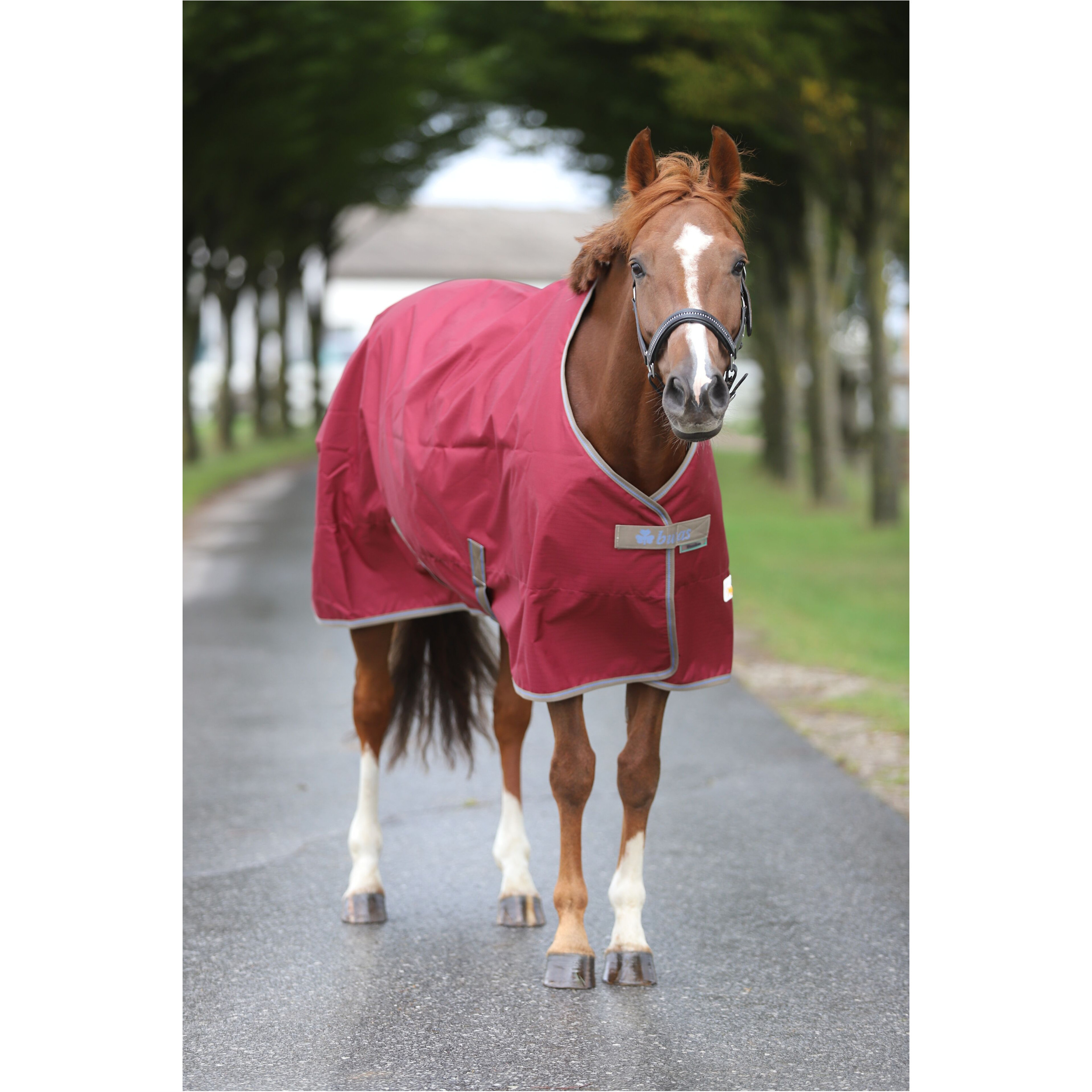 Weidedecke 600D FREEDOM TURNOUT weinrot/beige