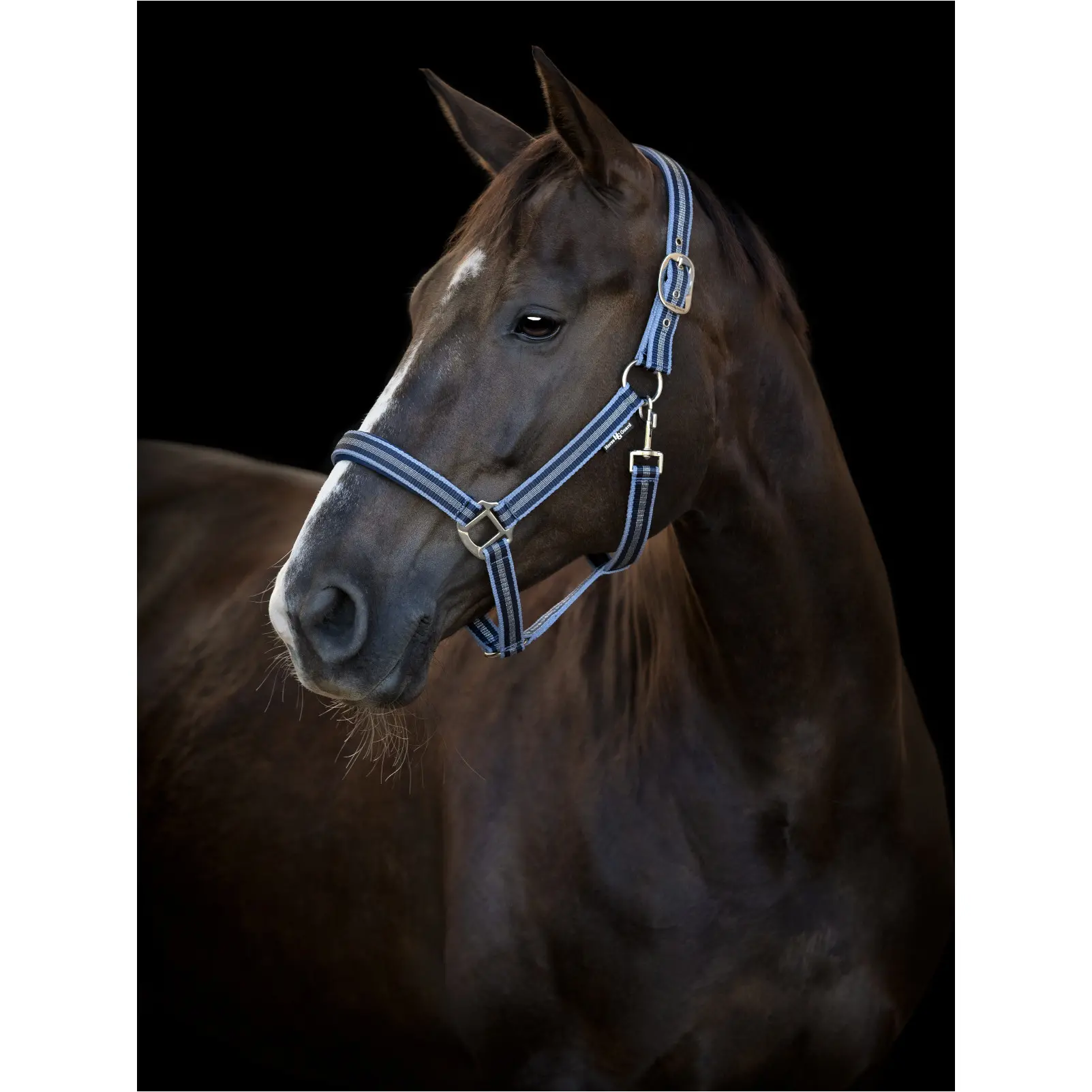 Halfter TARO navy Halfter TARO navy