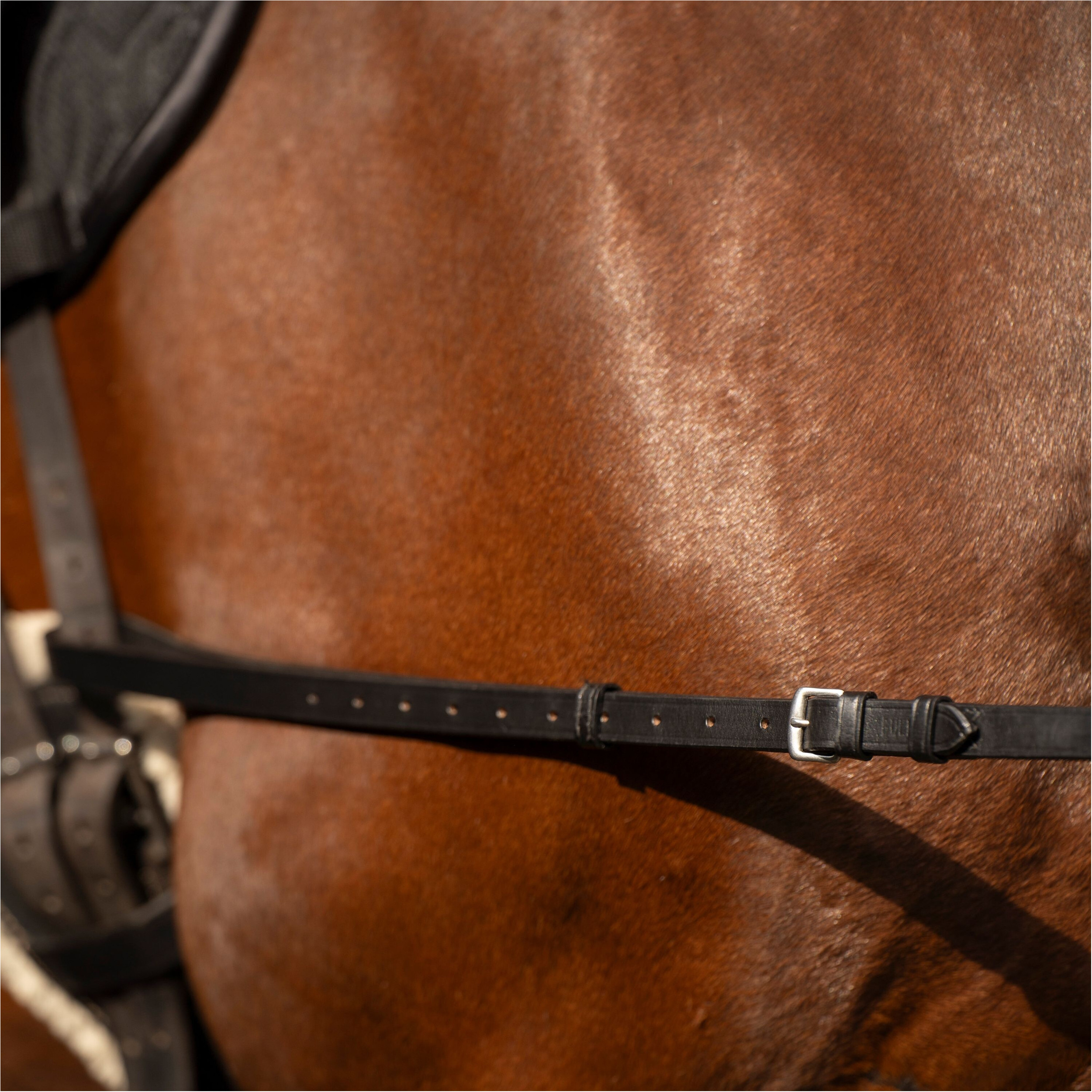 Ausbinder Leder mit Elastik schwarz