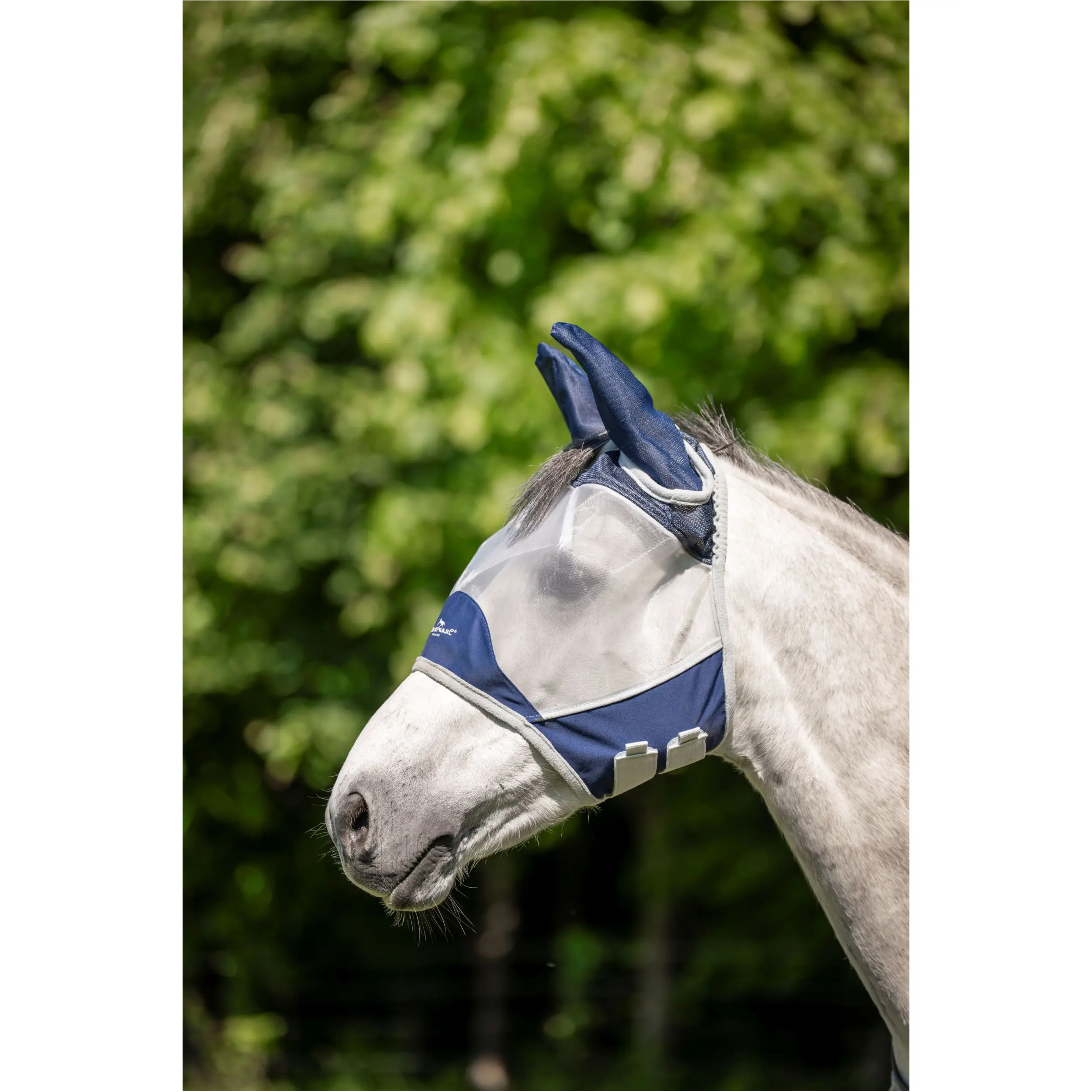 Fliegenmaske AMIGO Shield Flymask navy/silver Fliegenmaske AMIGO Shield Flymask navy/silver